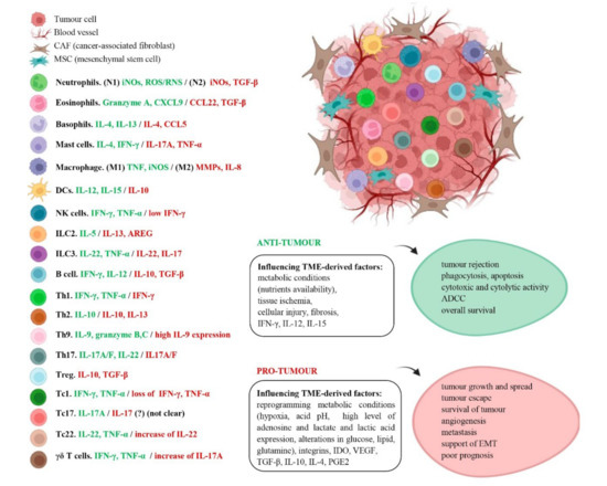 Inmune Multimodal Frontiers | Multi Modal Single Cell Sequencing