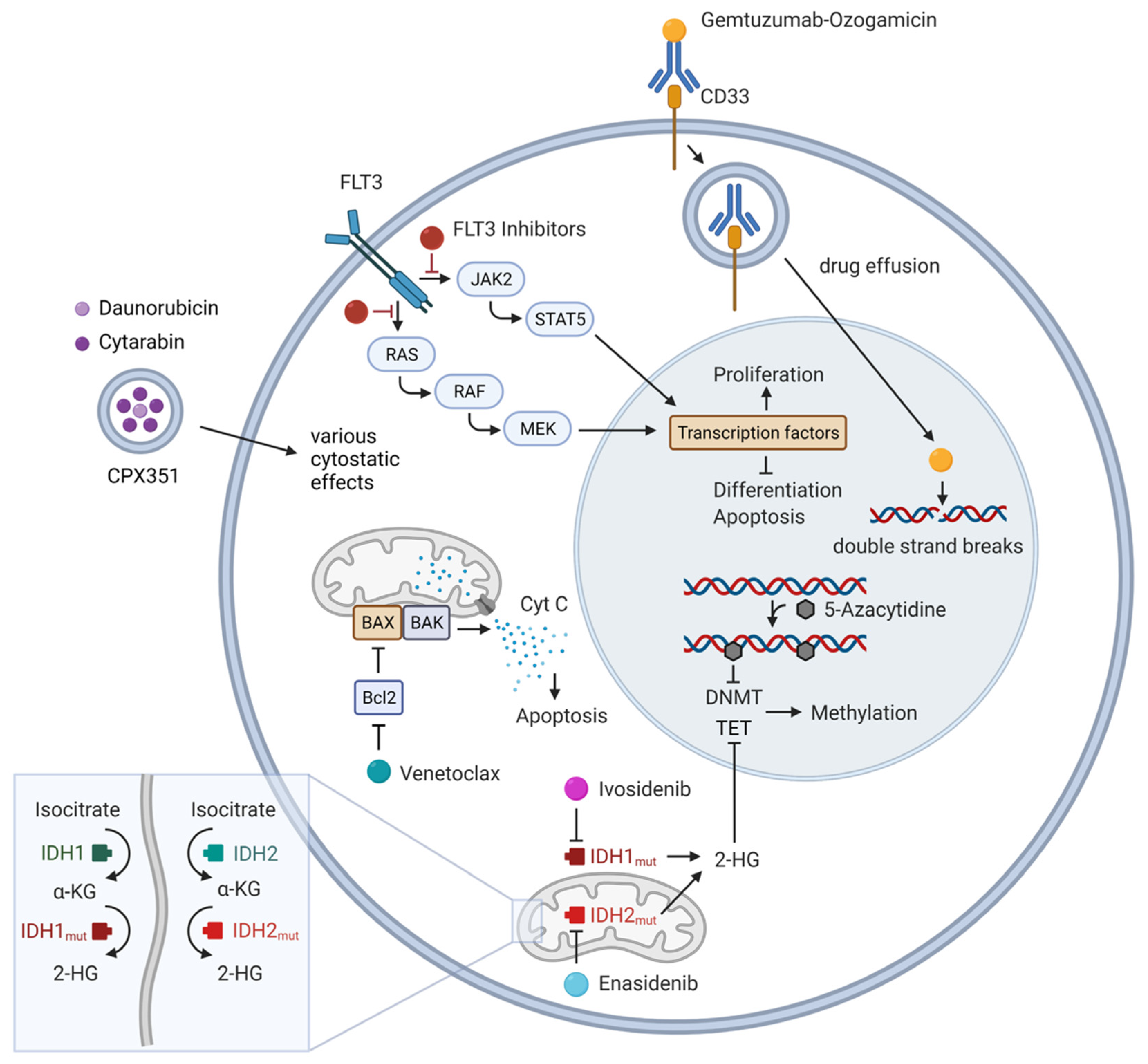 Cancers 14 01689 g001 Cancers 14 01689 g001