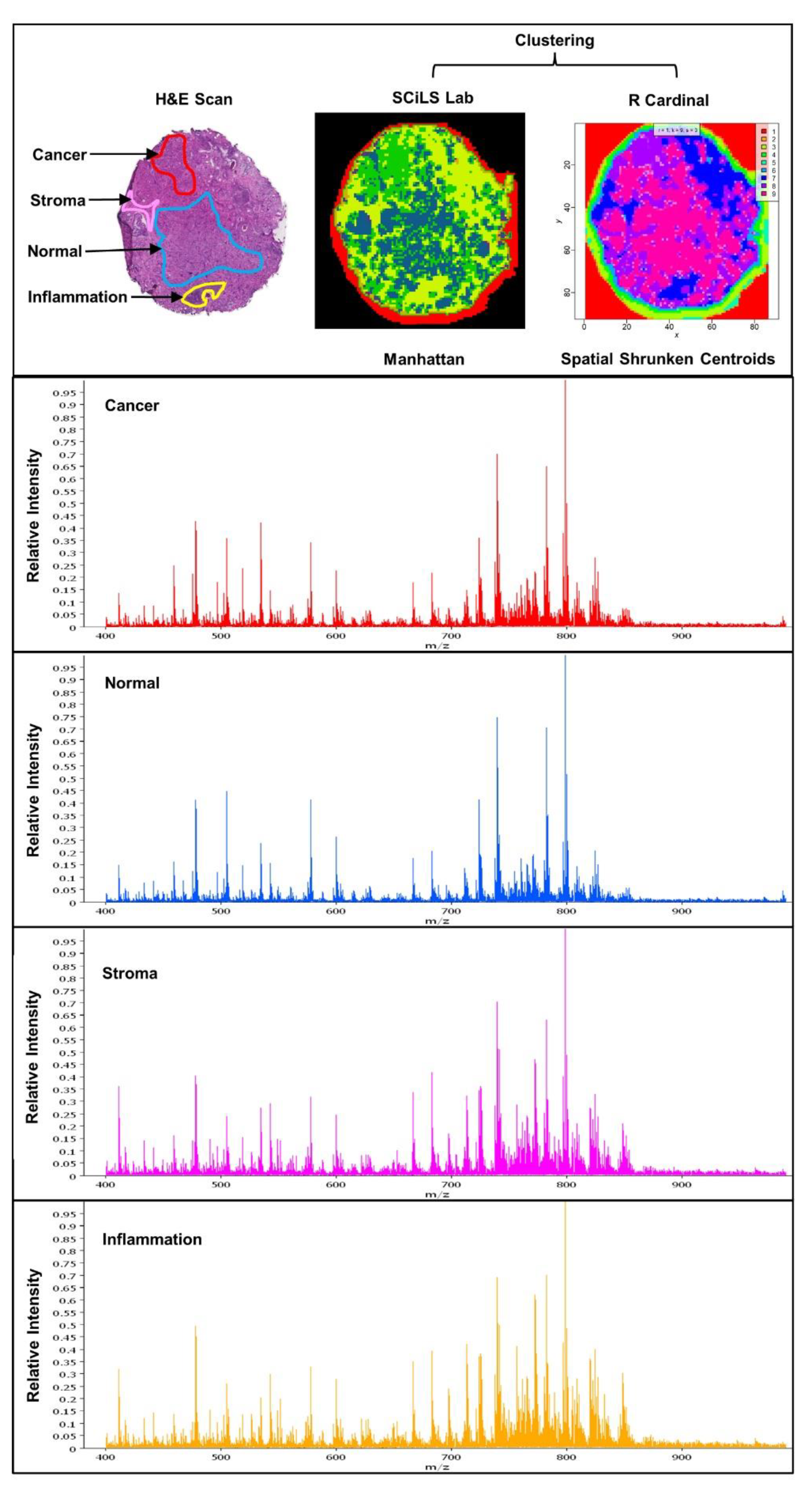 Cancers 14 01702 g001