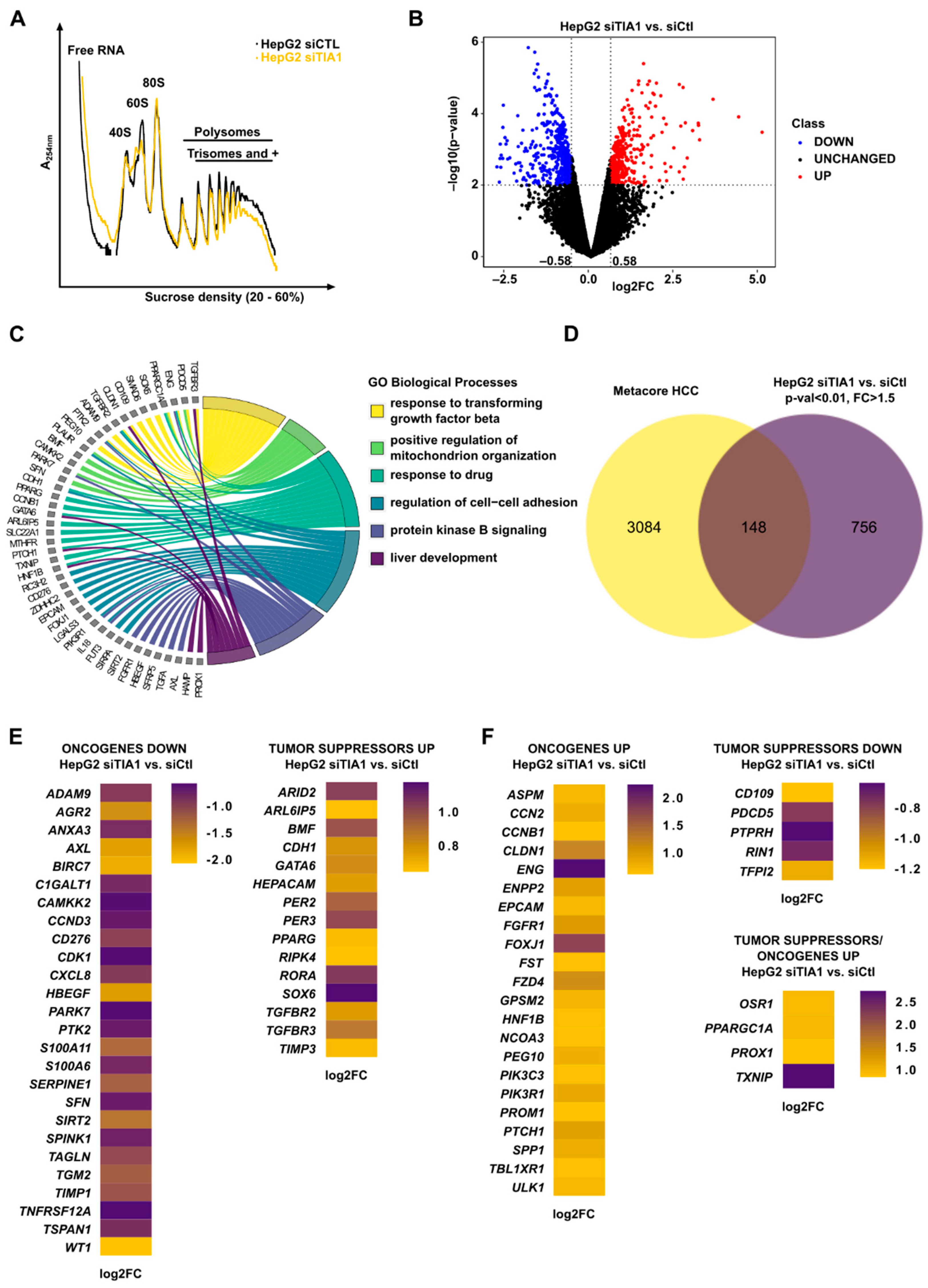 Cancers 14 01704 g002 550