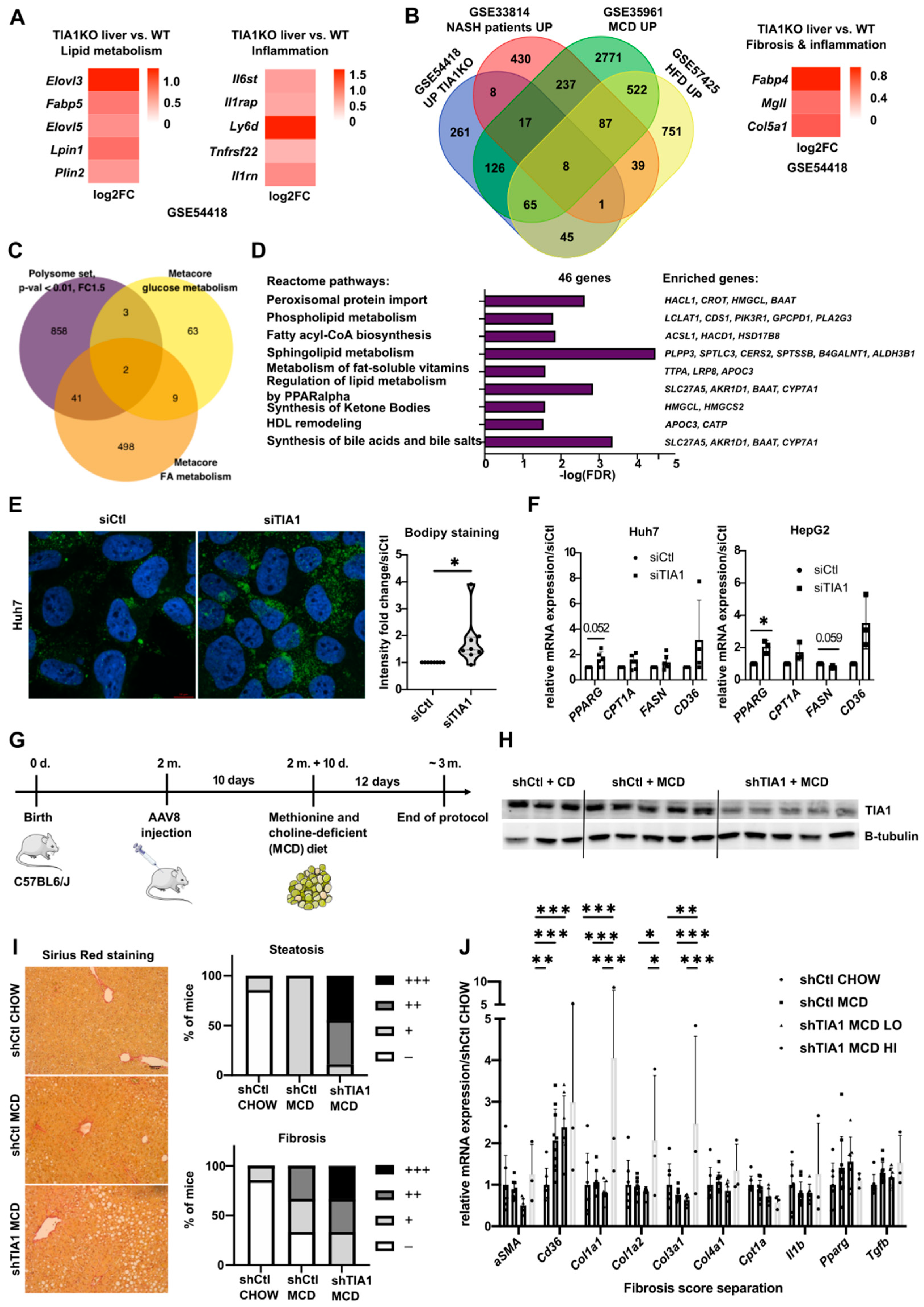 Cancers 14 01704 g003 550