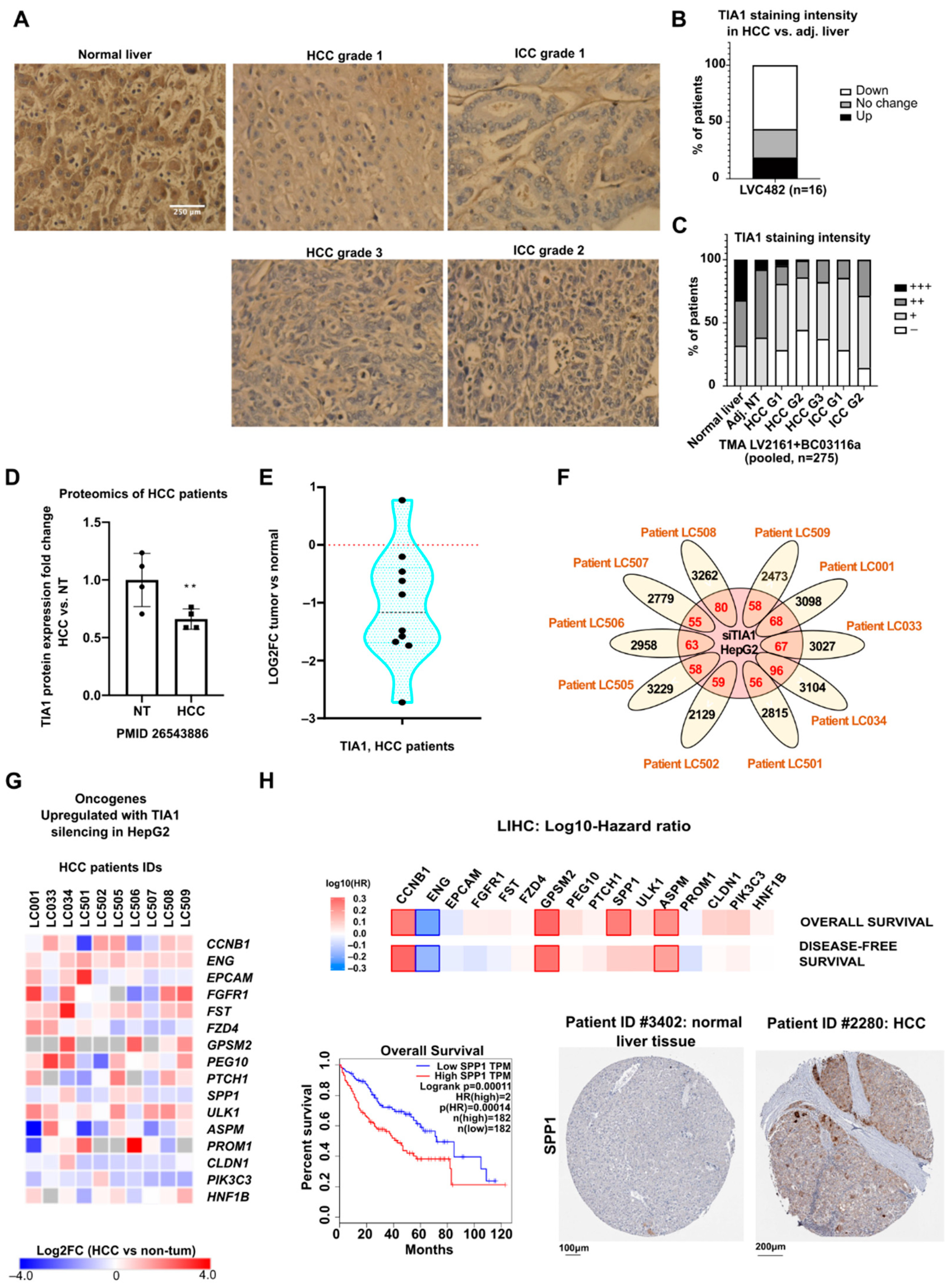 Cancers 14 01704 g005 550