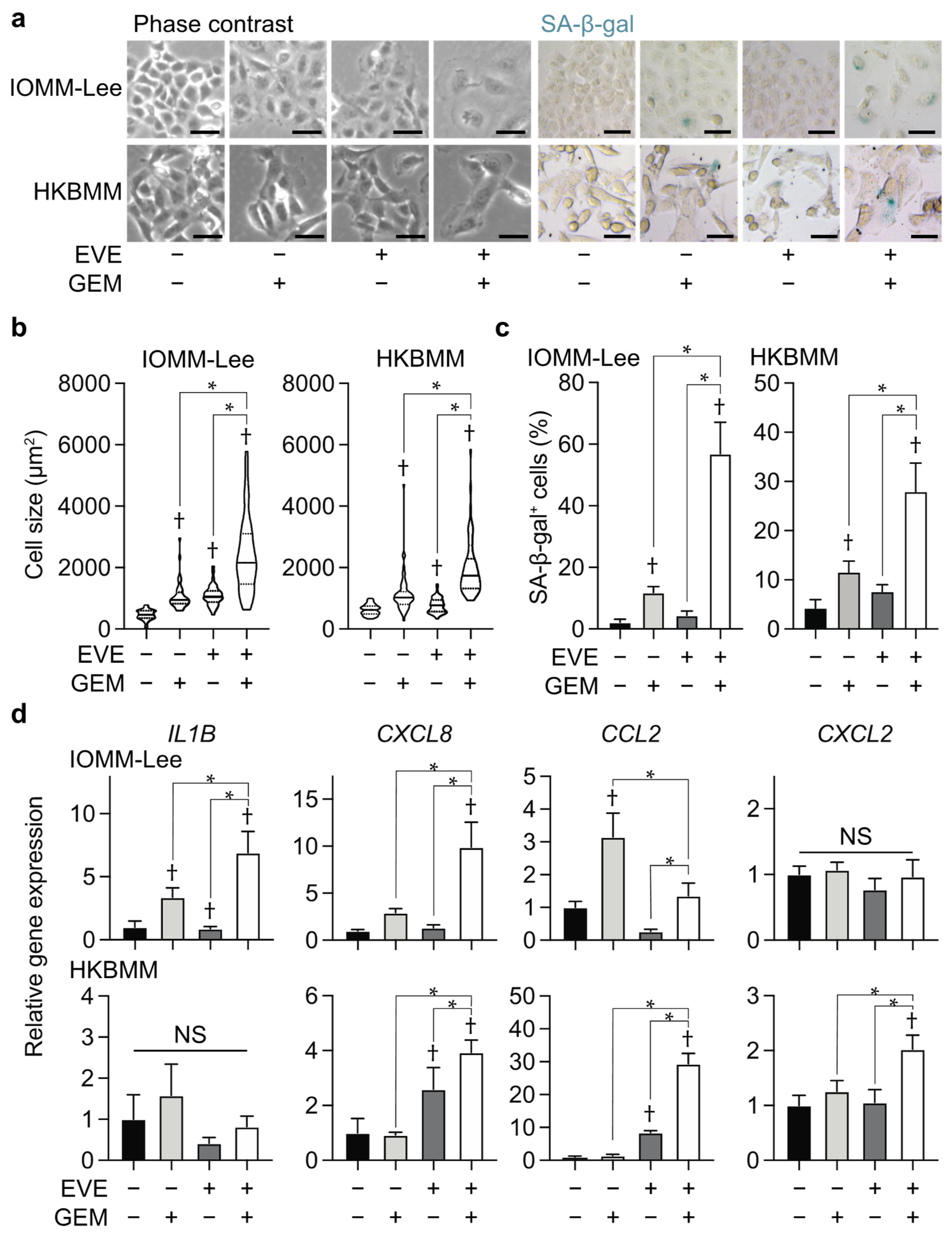 Cancers 14 01706 g003 Cancers 14 01706 g003
