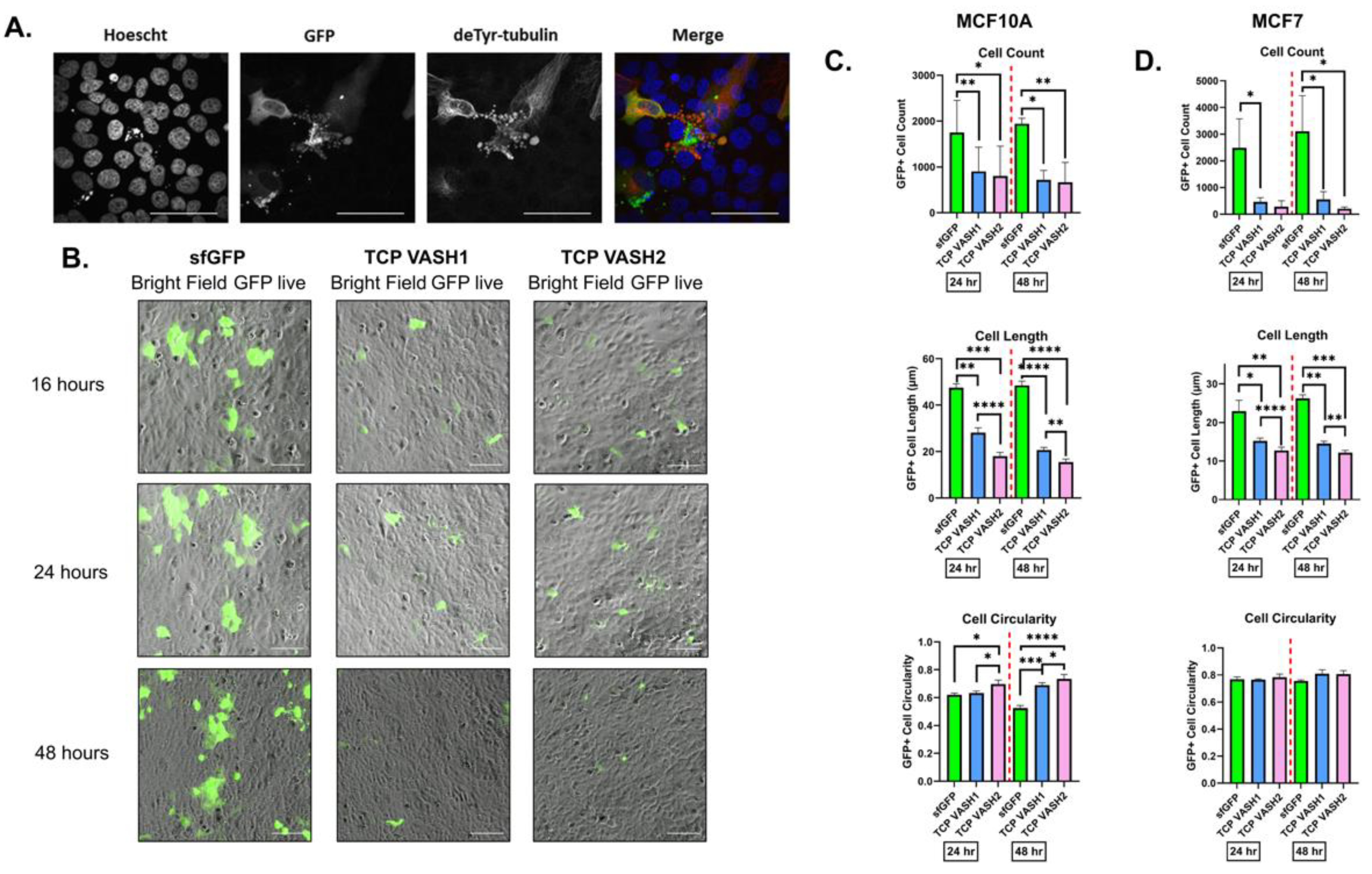 Cancers 14 01707 g003 550