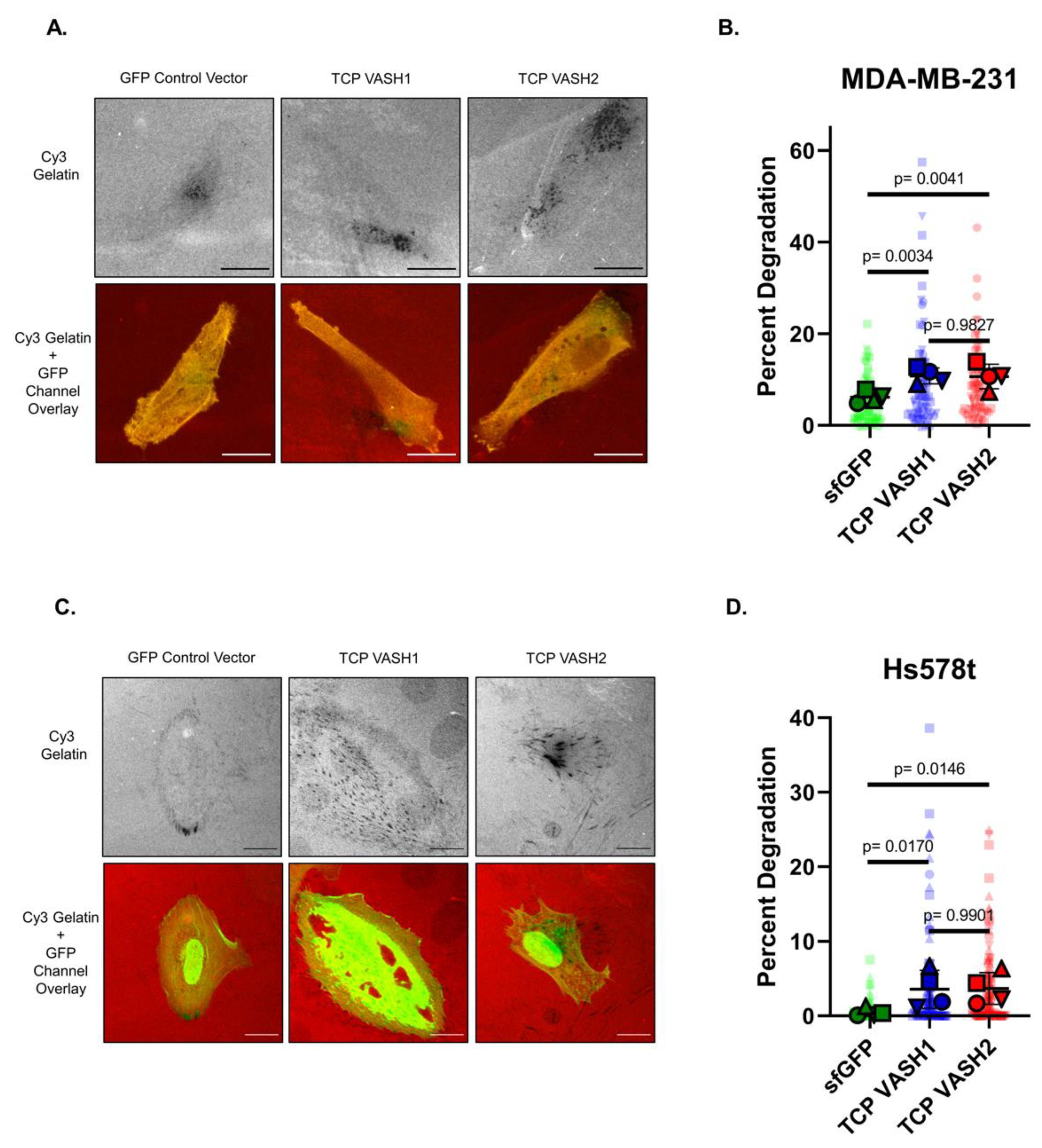 Cancers 14 01707 g006 550