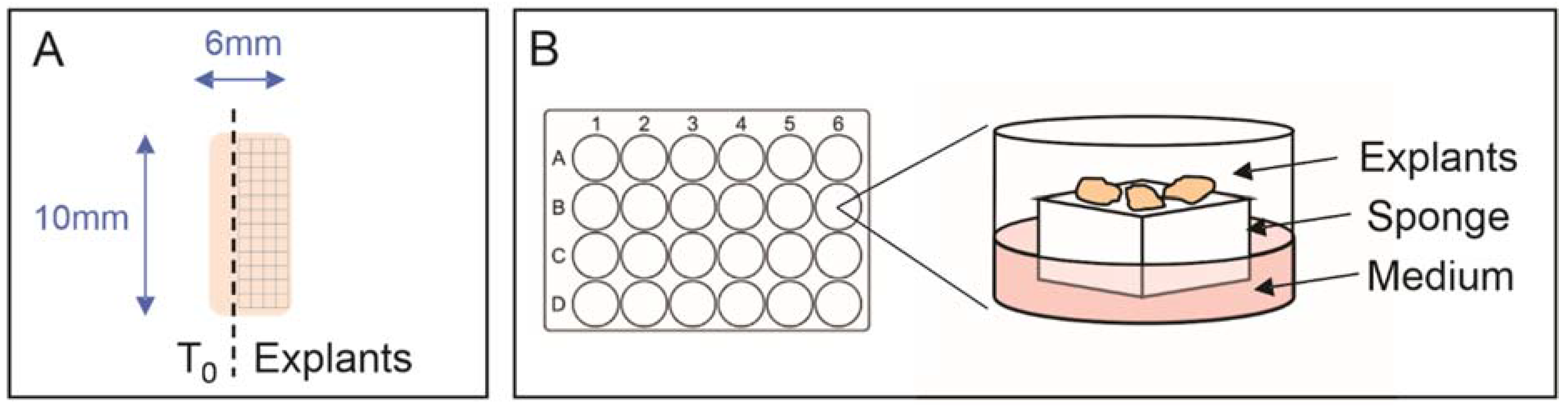 Cancers 14 01708 g001 550