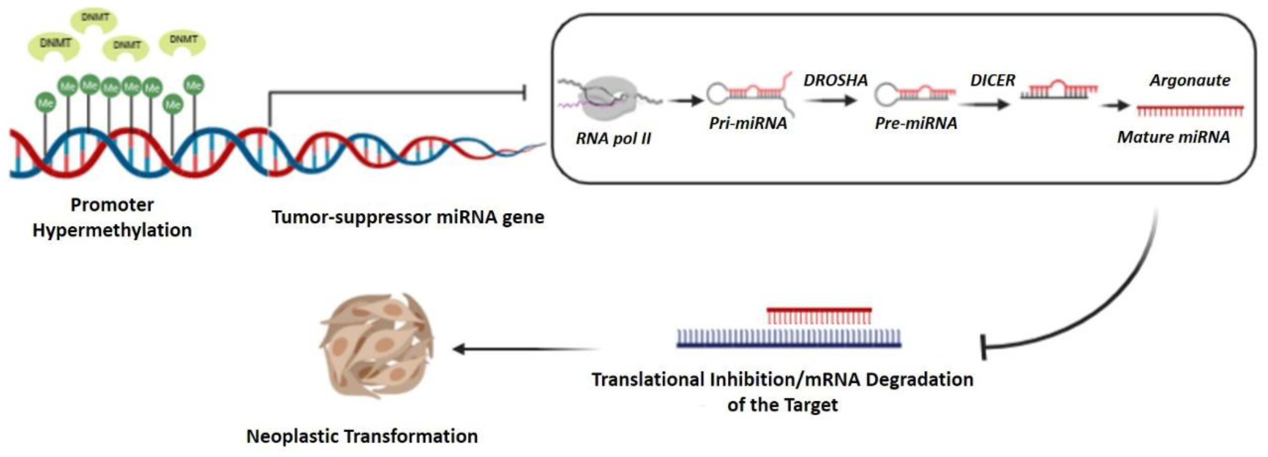Cancers 14 01716 g001 Cancers 14 01716 g001