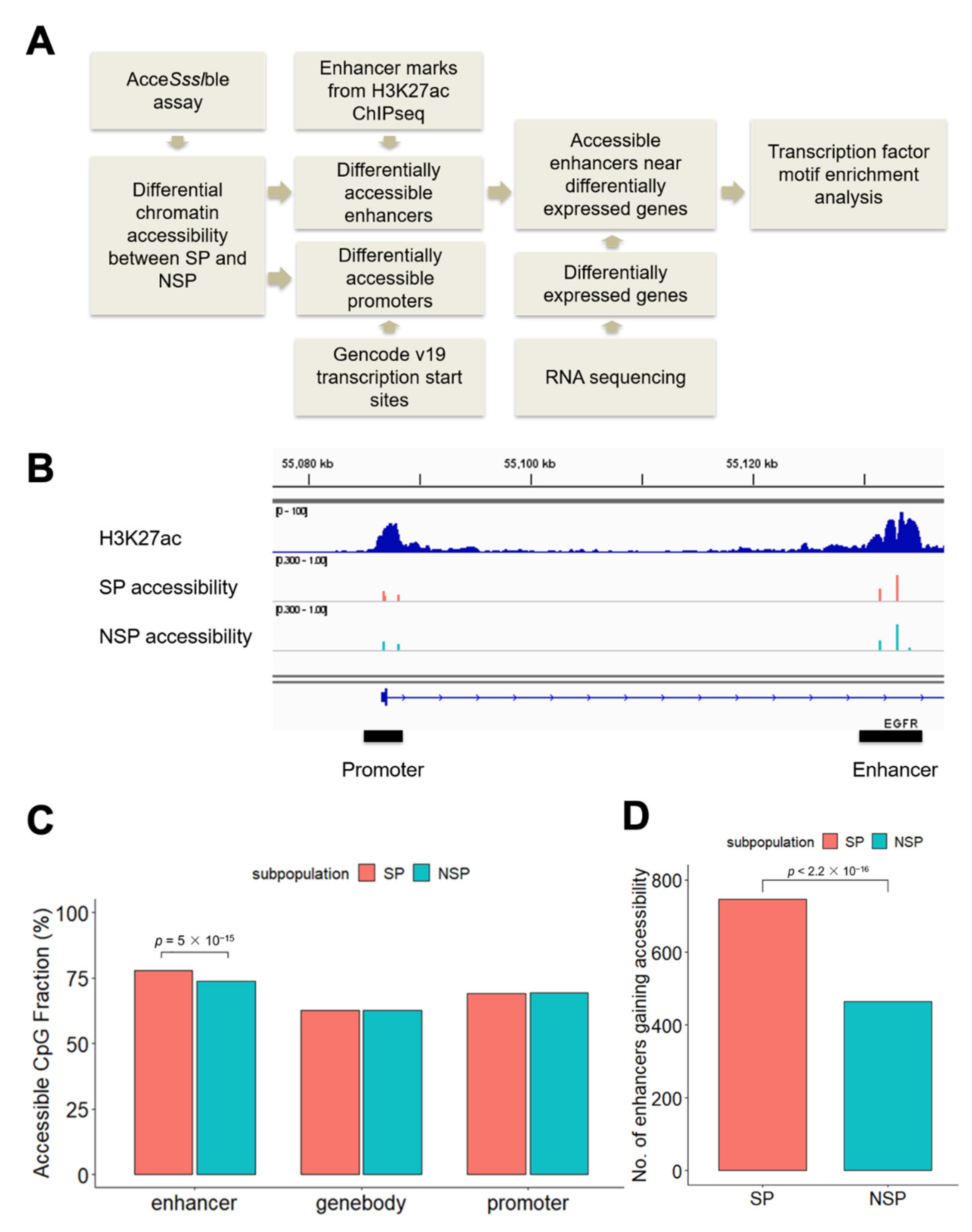Cancers 14 01717 g001 550