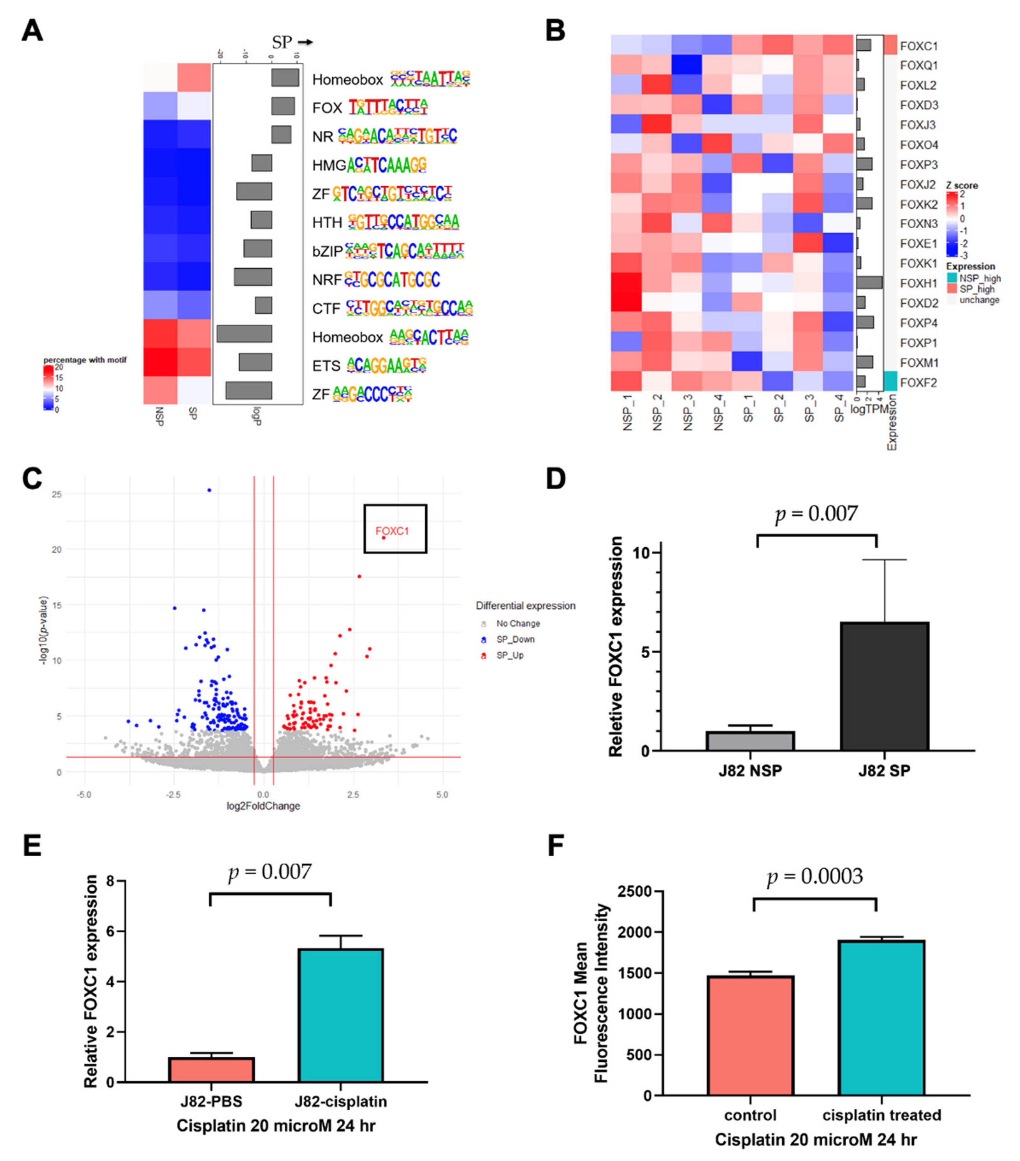 Cancers 14 01717 g002 550