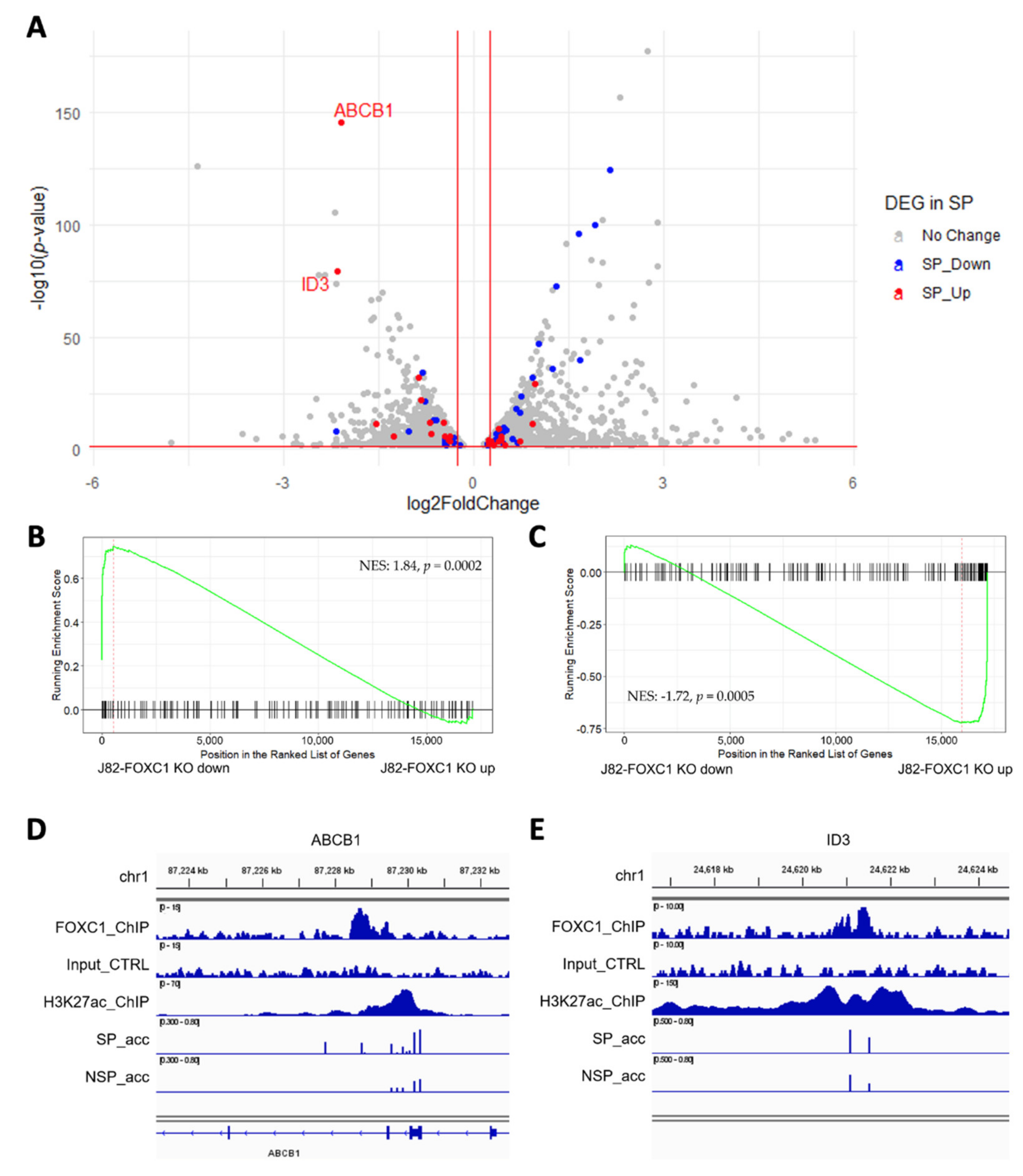 Cancers 14 01717 g004 550