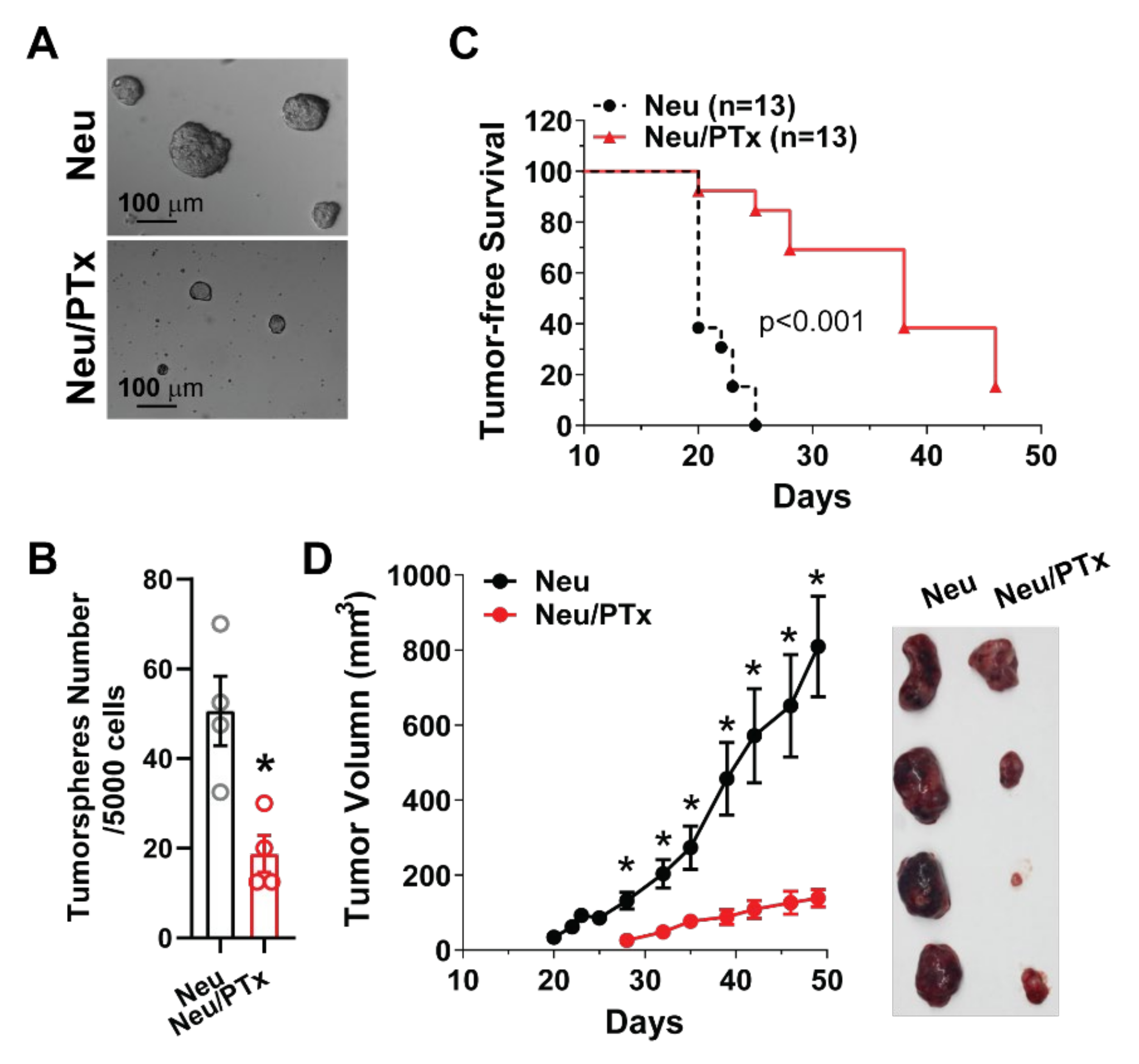 Cancers 14 01719 g003 Cancers 14 01719 g003