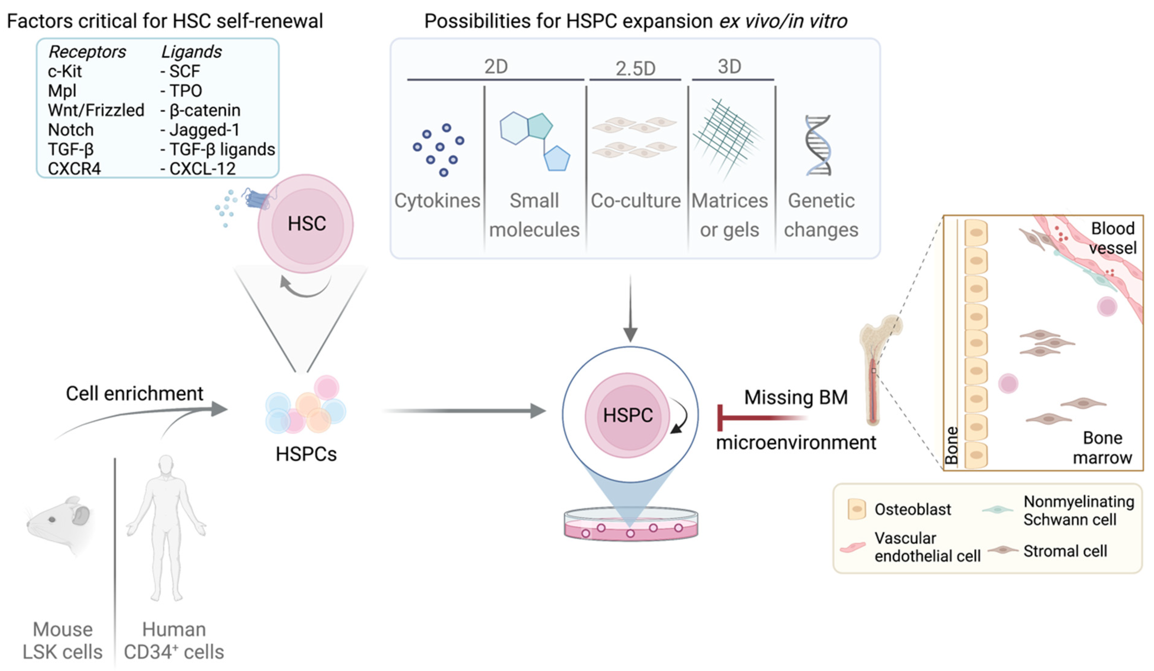 Cancers 14 01723 g002 Cancers 14 01723 g002