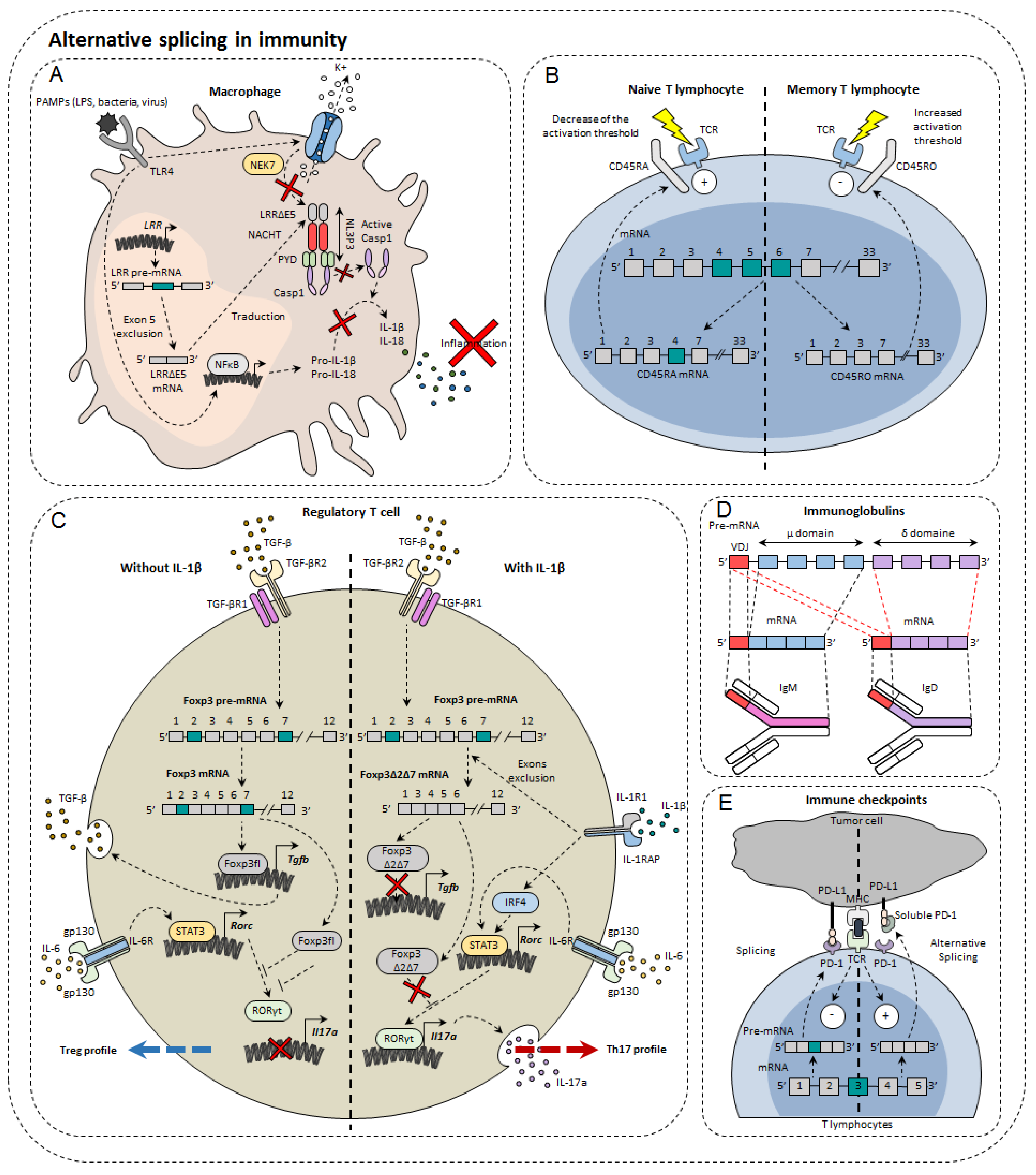 Cancers 14 01726 g002 Cancers 14 01726 g002