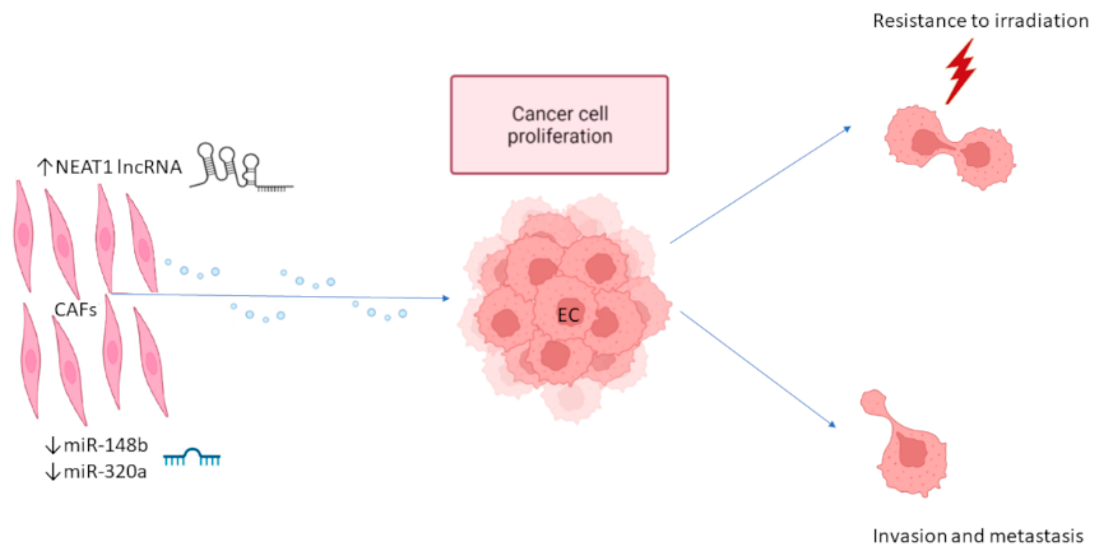 Cancers 14 01733 g002 550