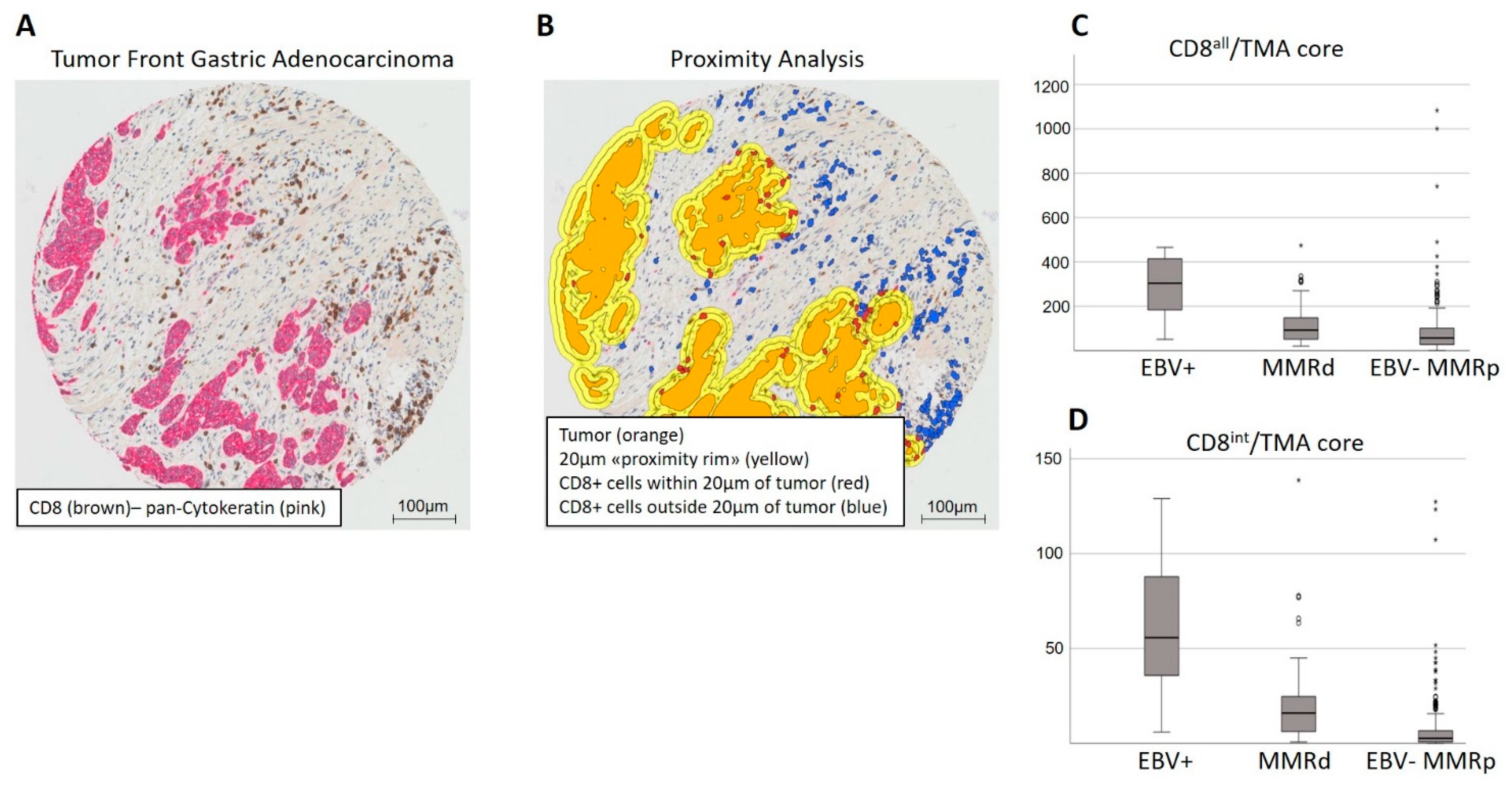 Cancers 14 01736 g001 550