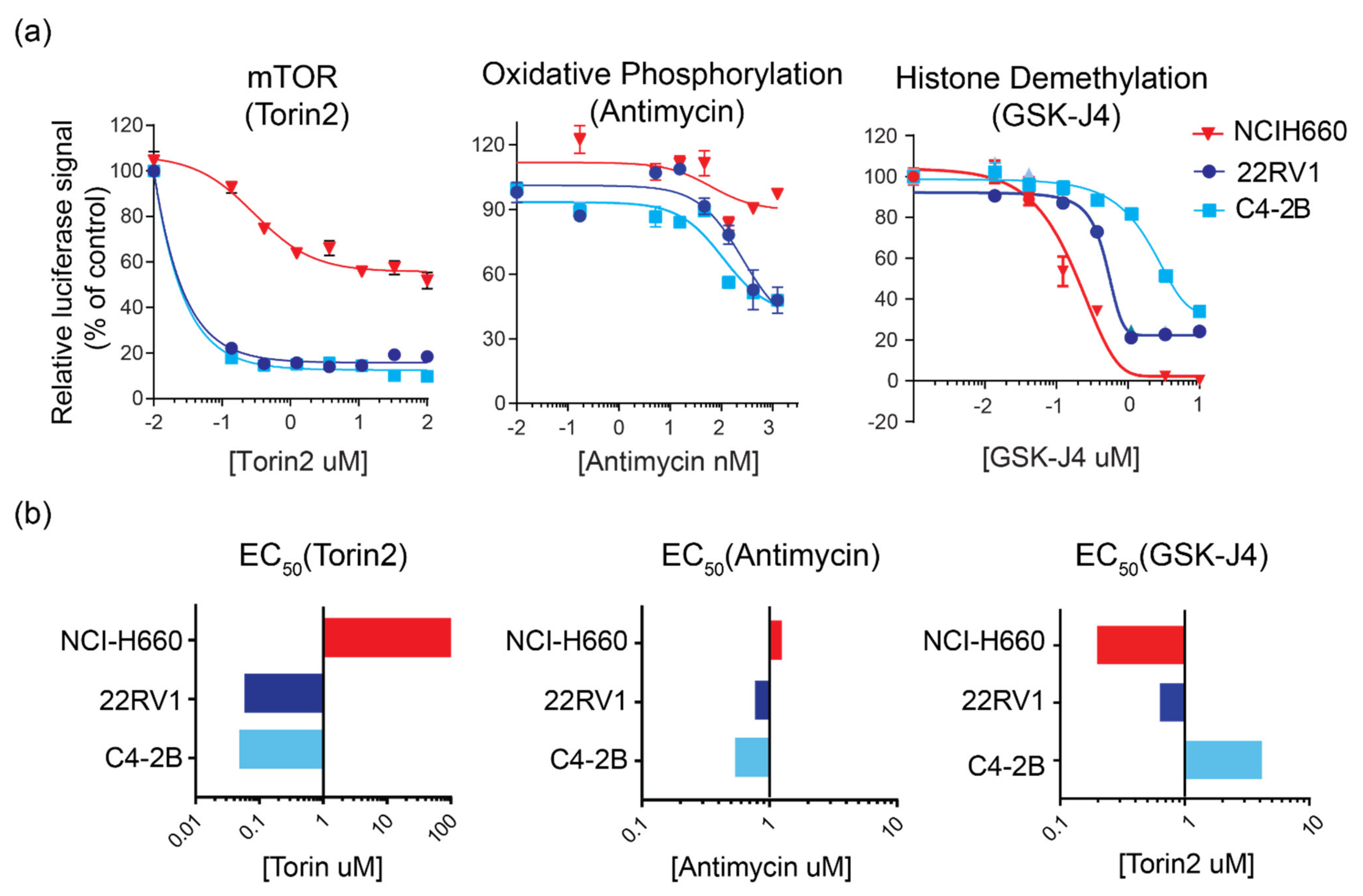 Cancers 14 01739 g004 Cancers 14 01739 g004