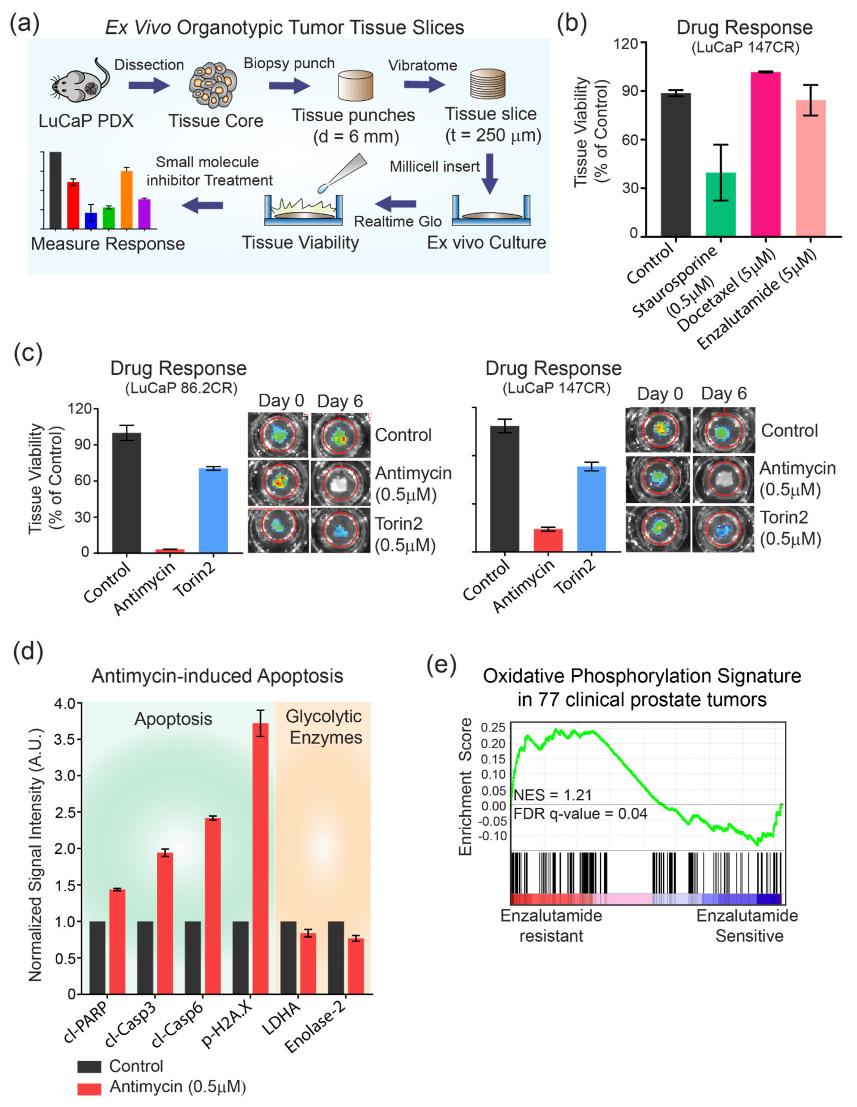 Cancers 14 01739 g005 Cancers 14 01739 g005