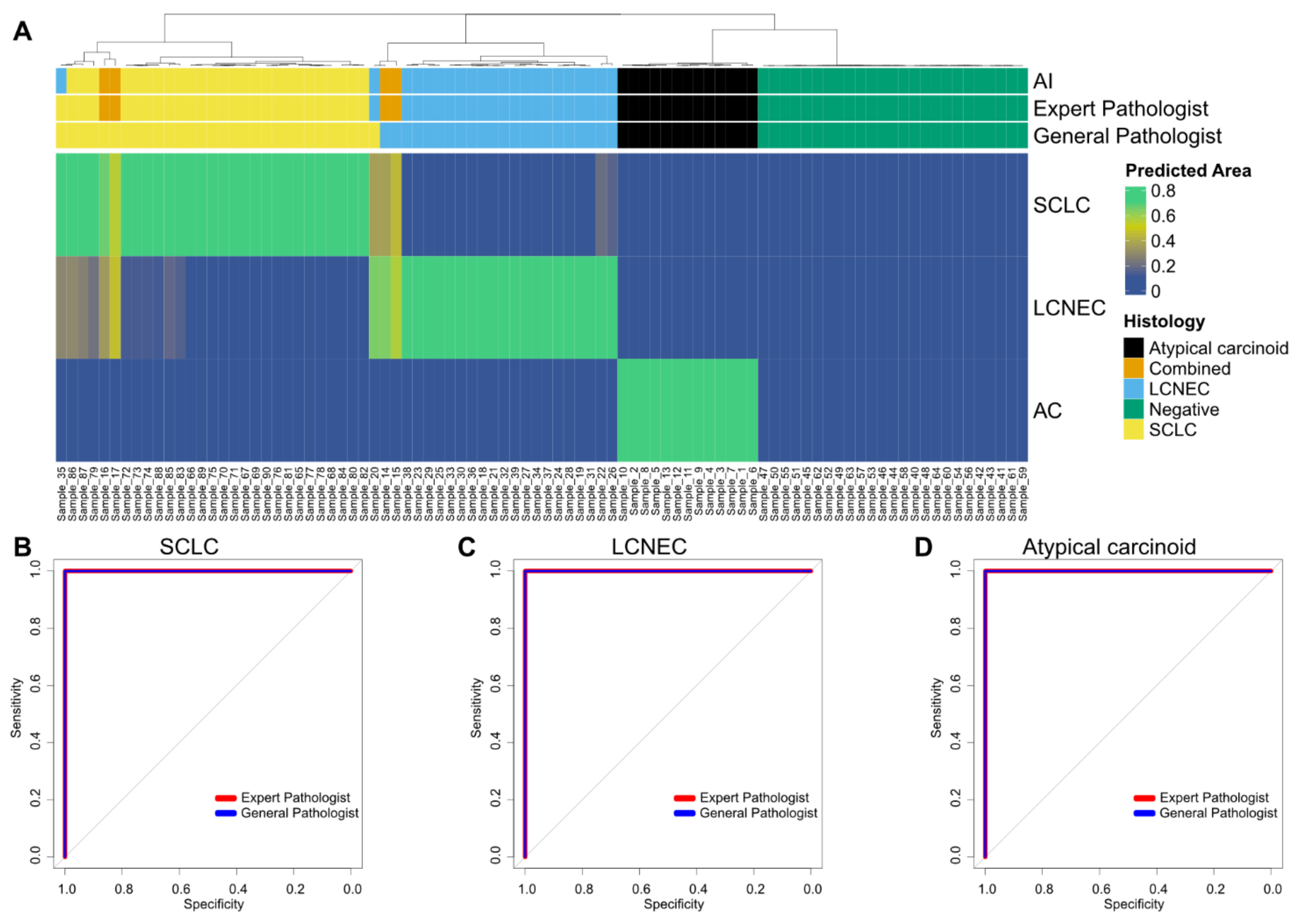 Cancers 14 01740 g003 550