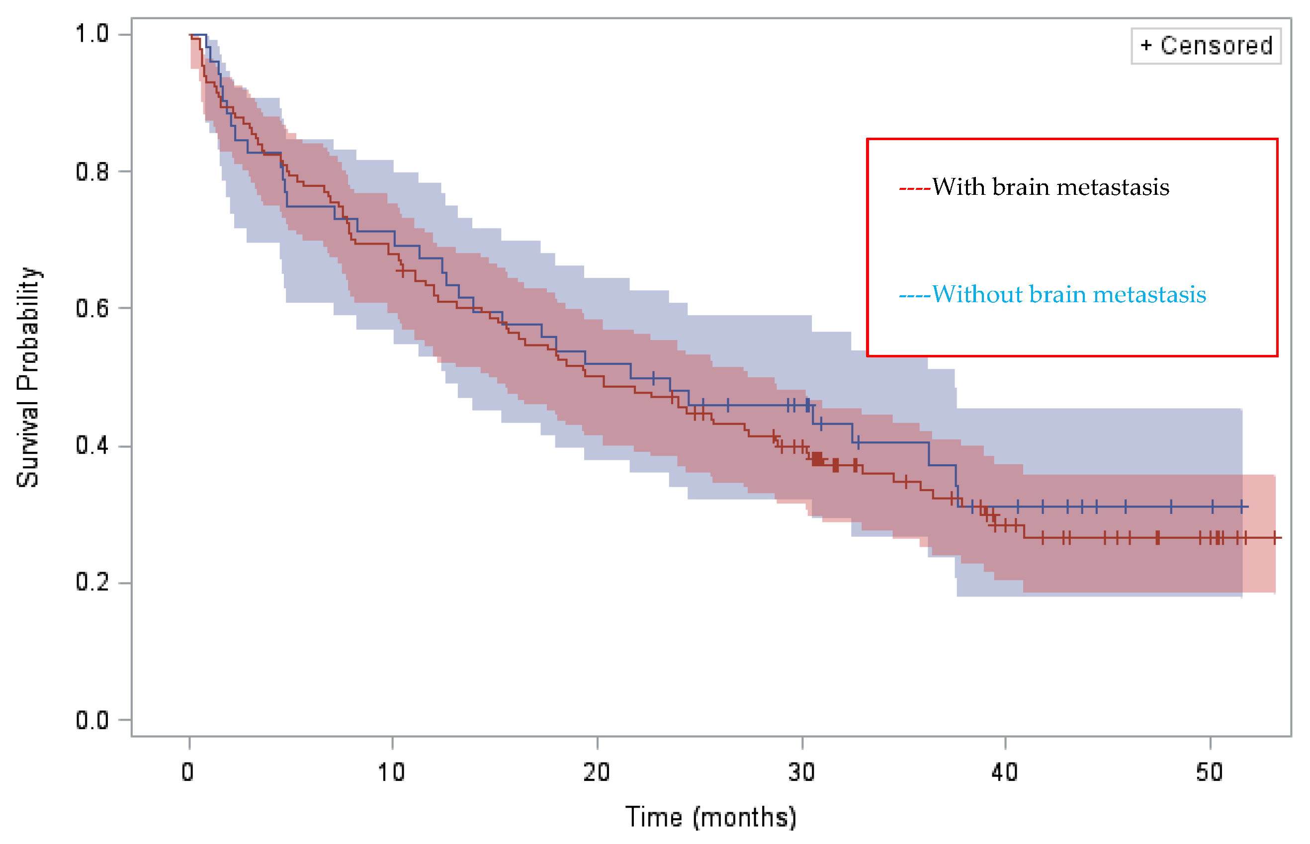 Cancers 14 01751 g002 550