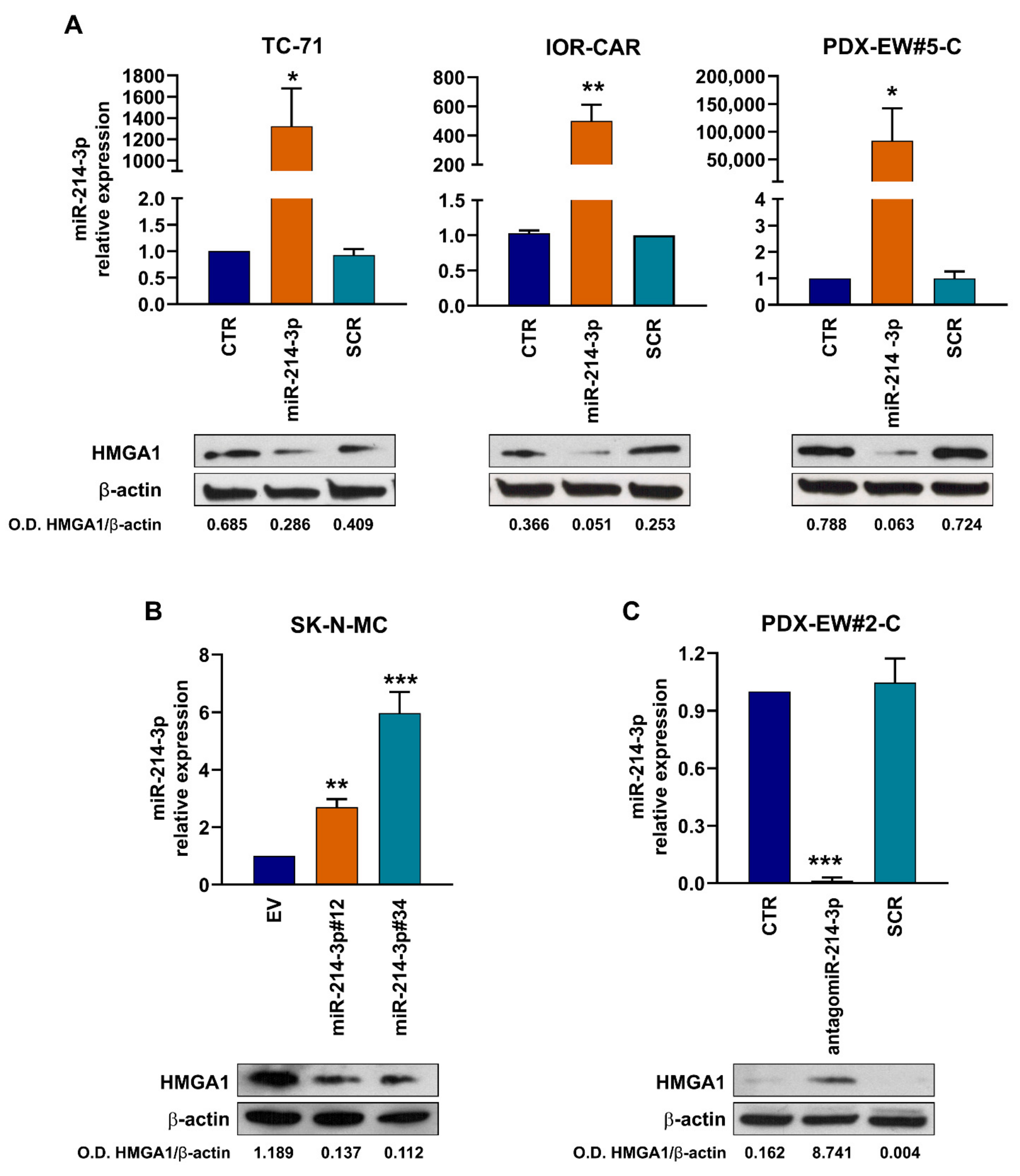 Cancers 14 01762 g005 550