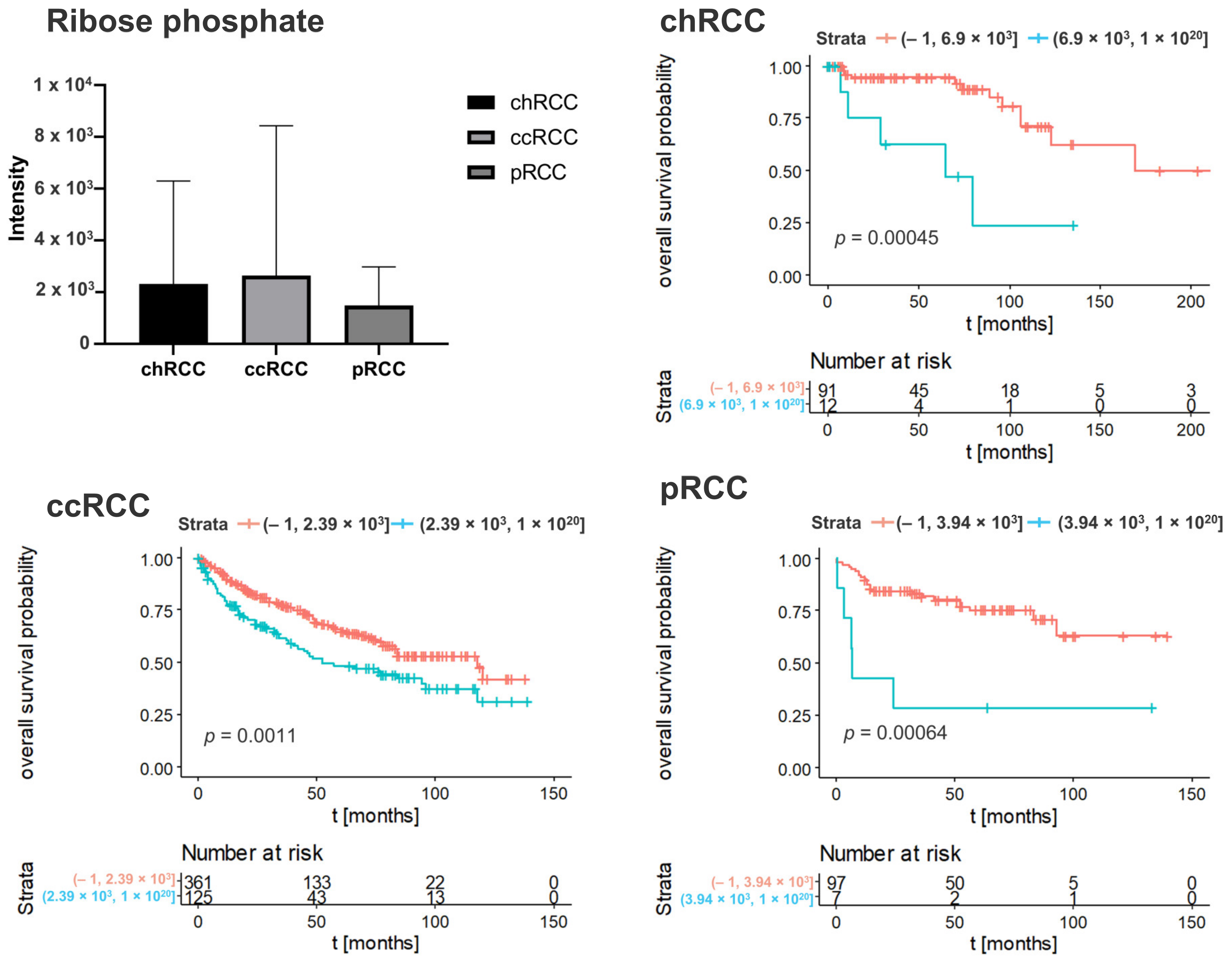 Cancers 14 01763 g004 550