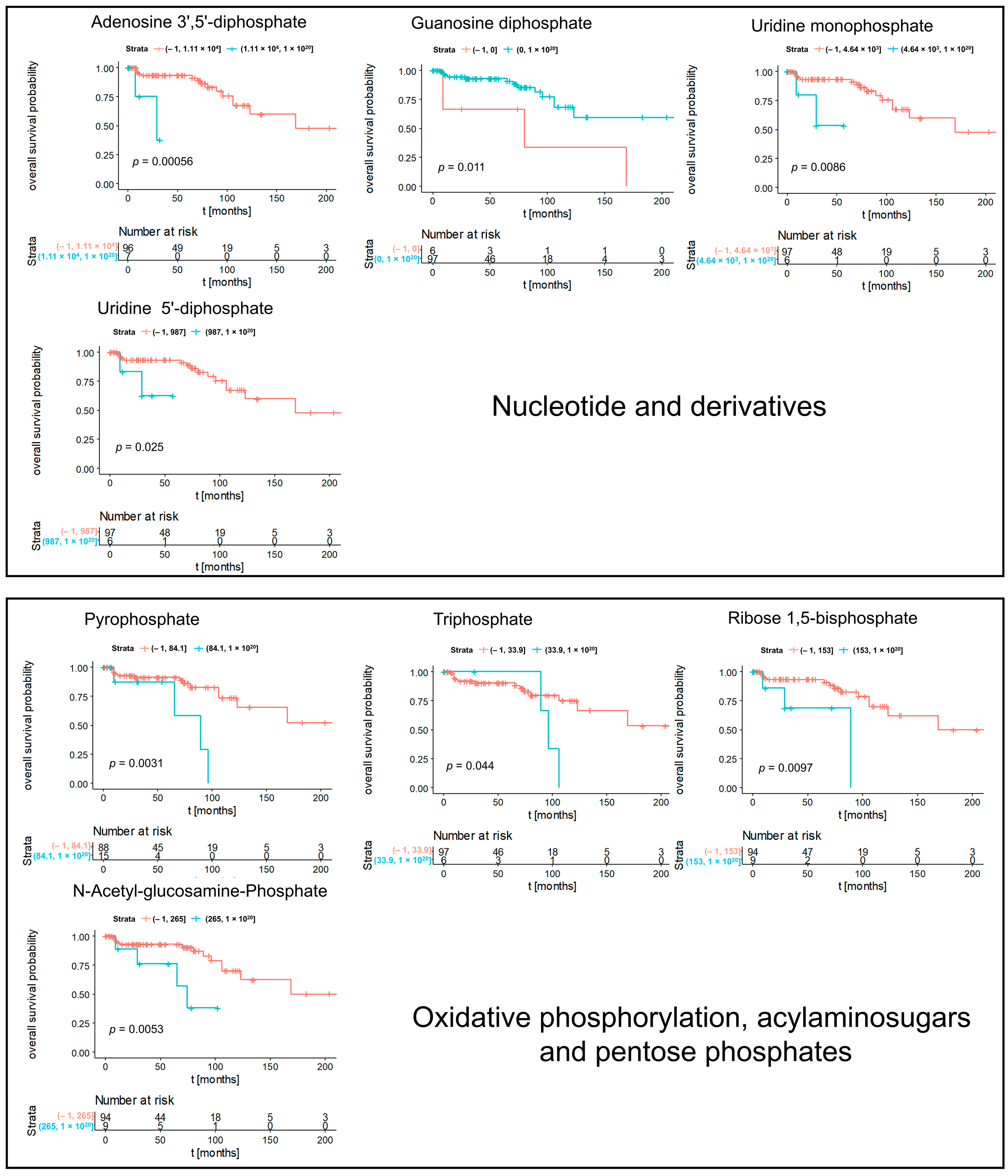 Cancers 14 01763 g005a 550