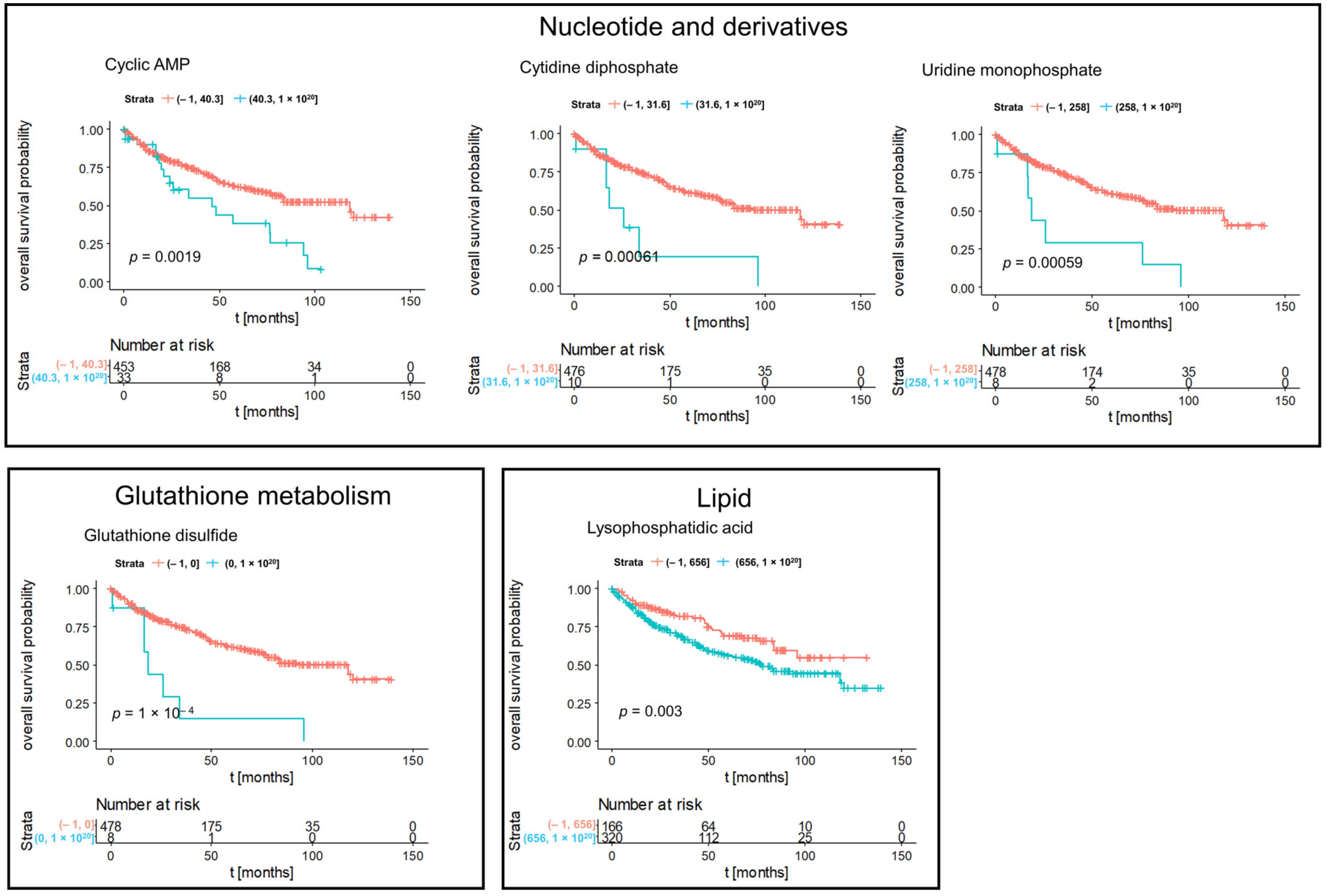 Cancers 14 01763 g006 550