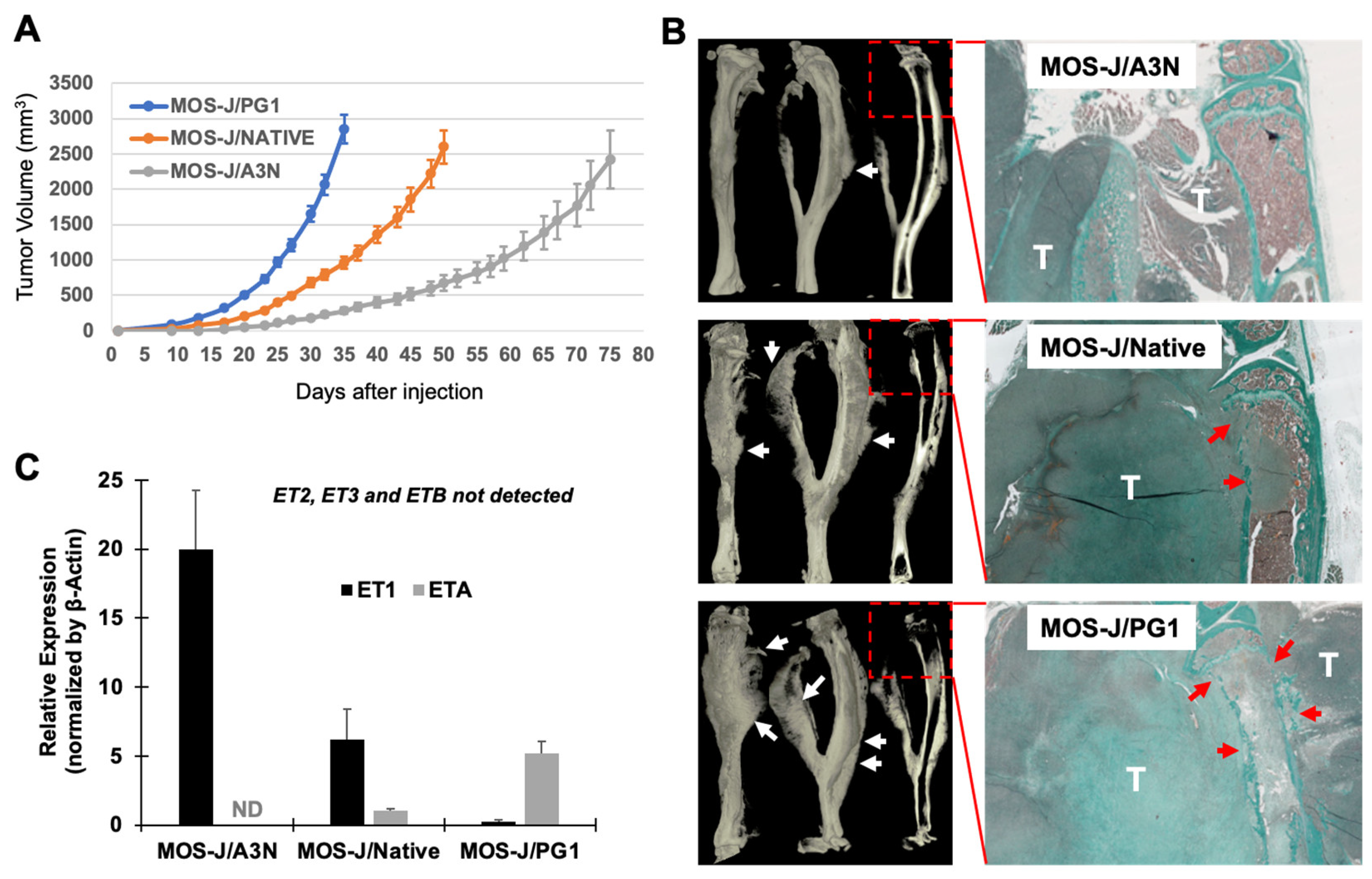 Cancers 14 01765 g001 Cancers 14 01765 g001