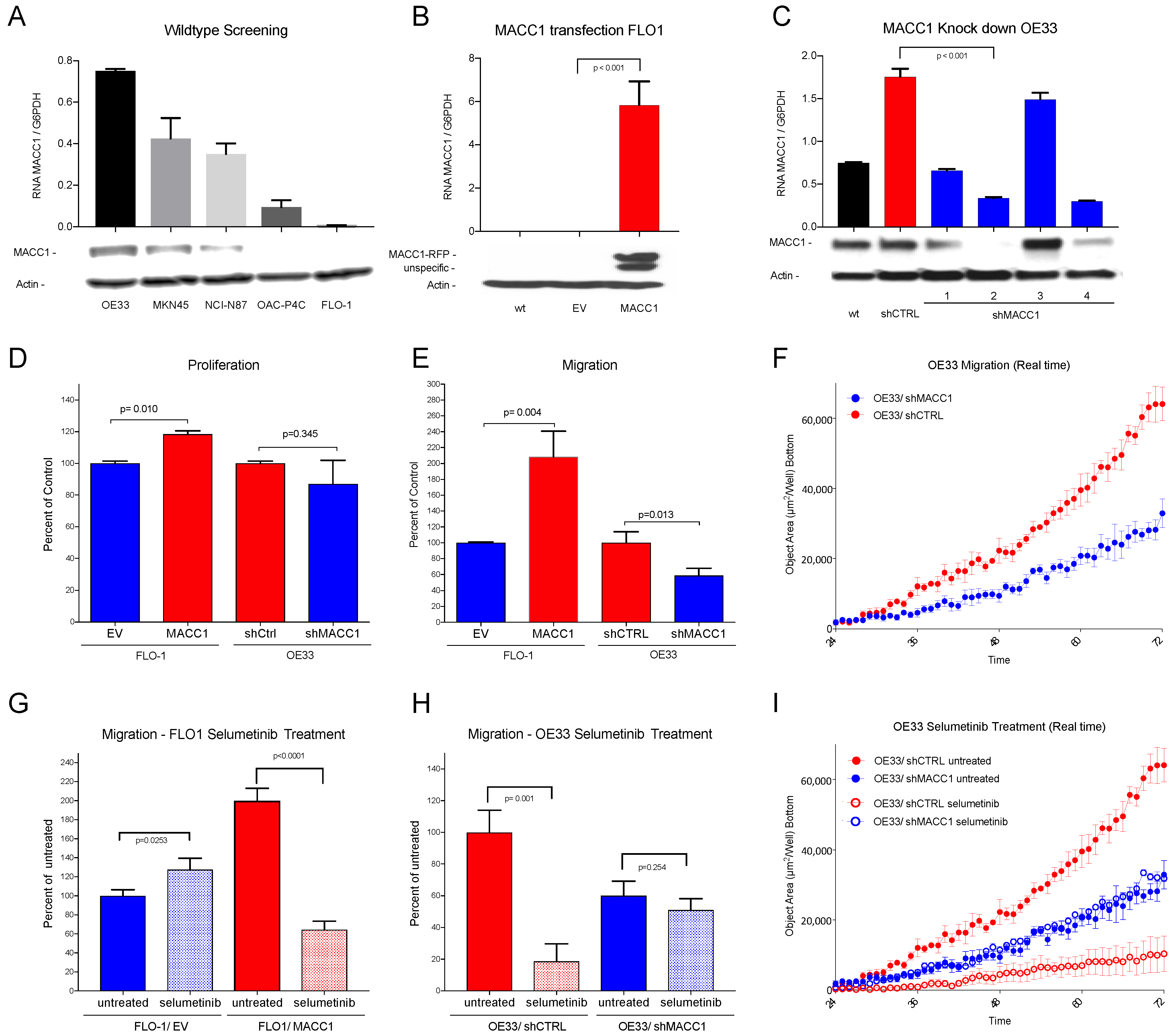 Cancers 14 01773 g003