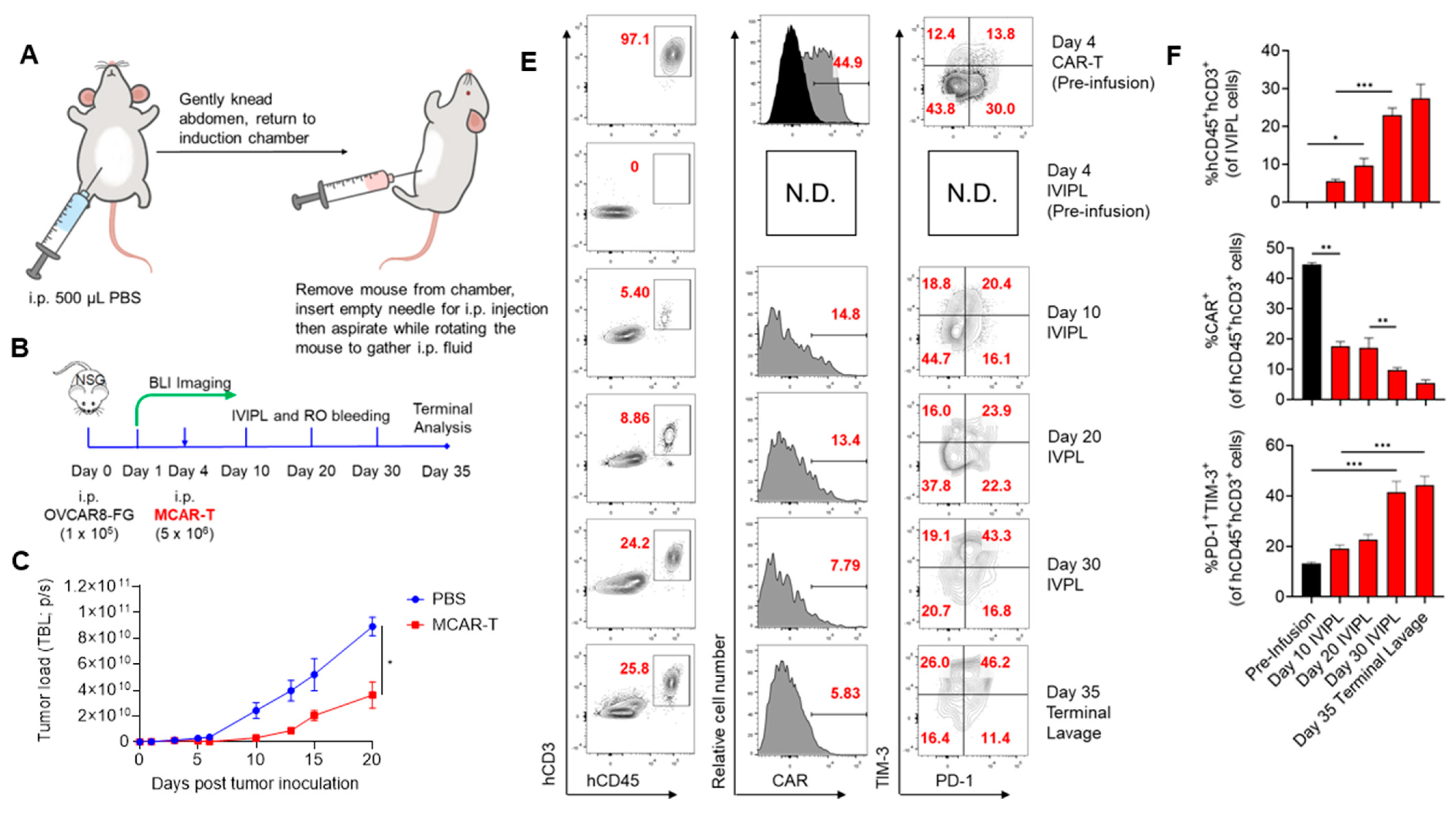 Cancers 14 01775 g001a