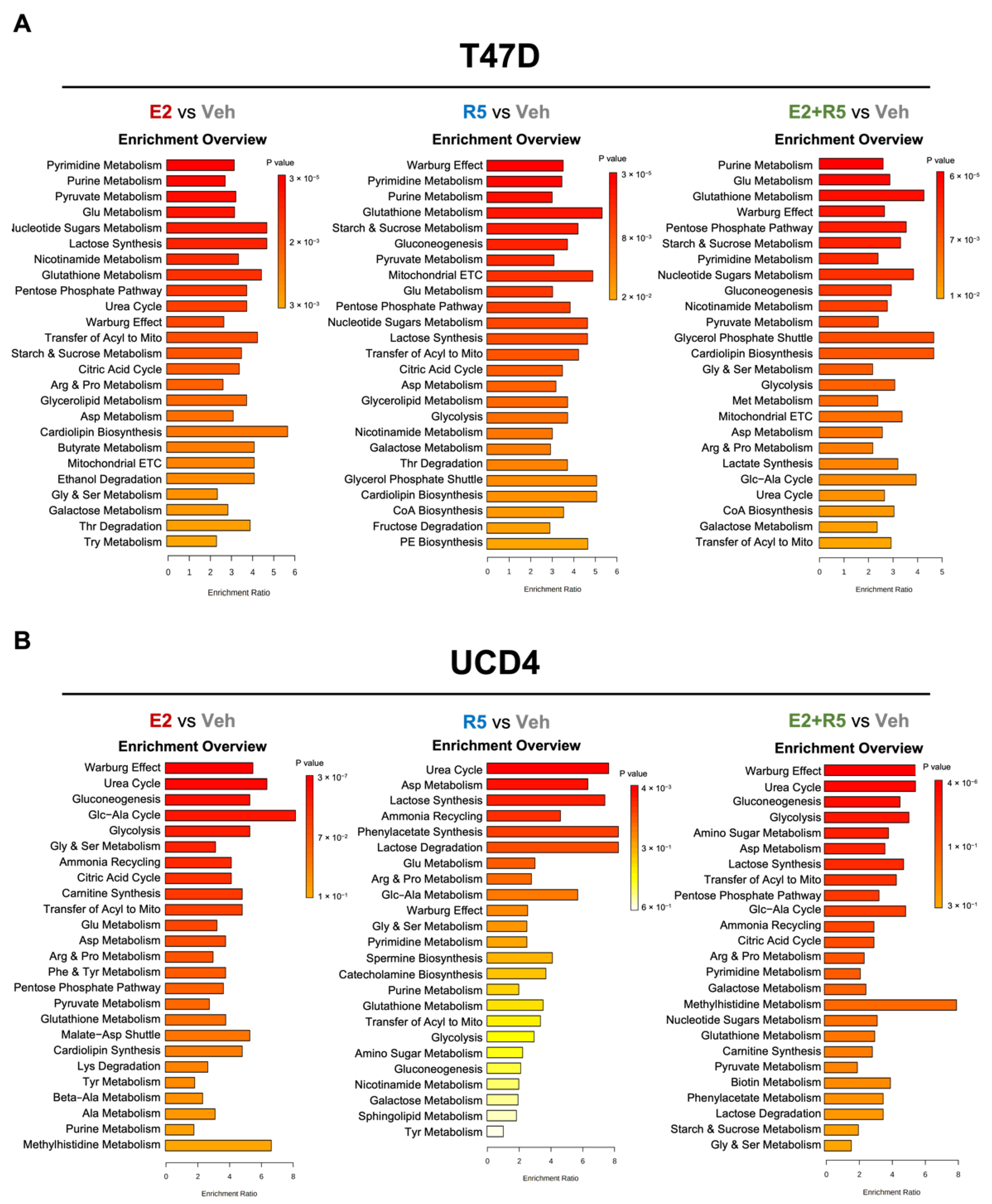 Cancers 14 01776 g002 Cancers 14 01776 g002