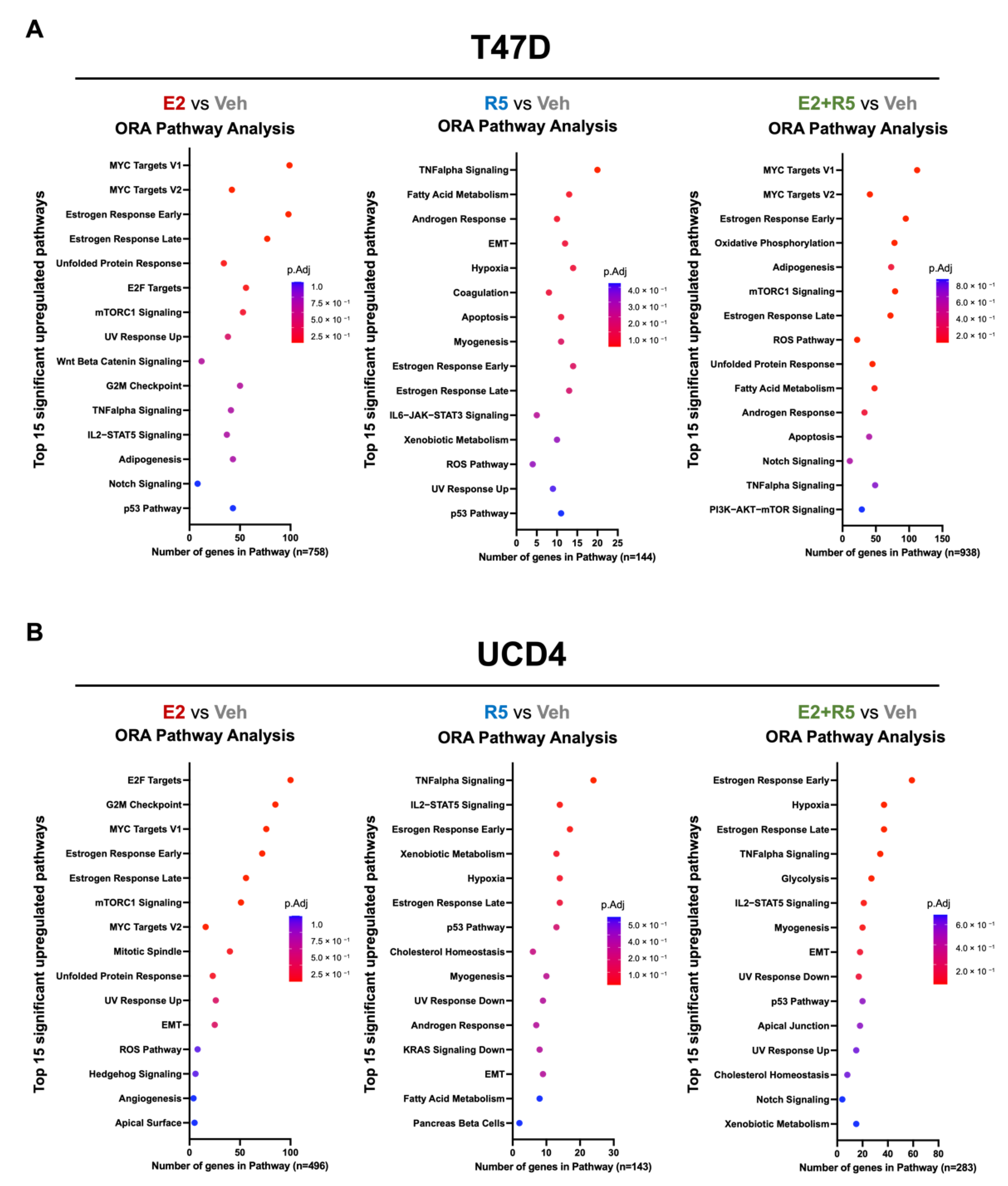 Cancers 14 01776 g003 Cancers 14 01776 g003