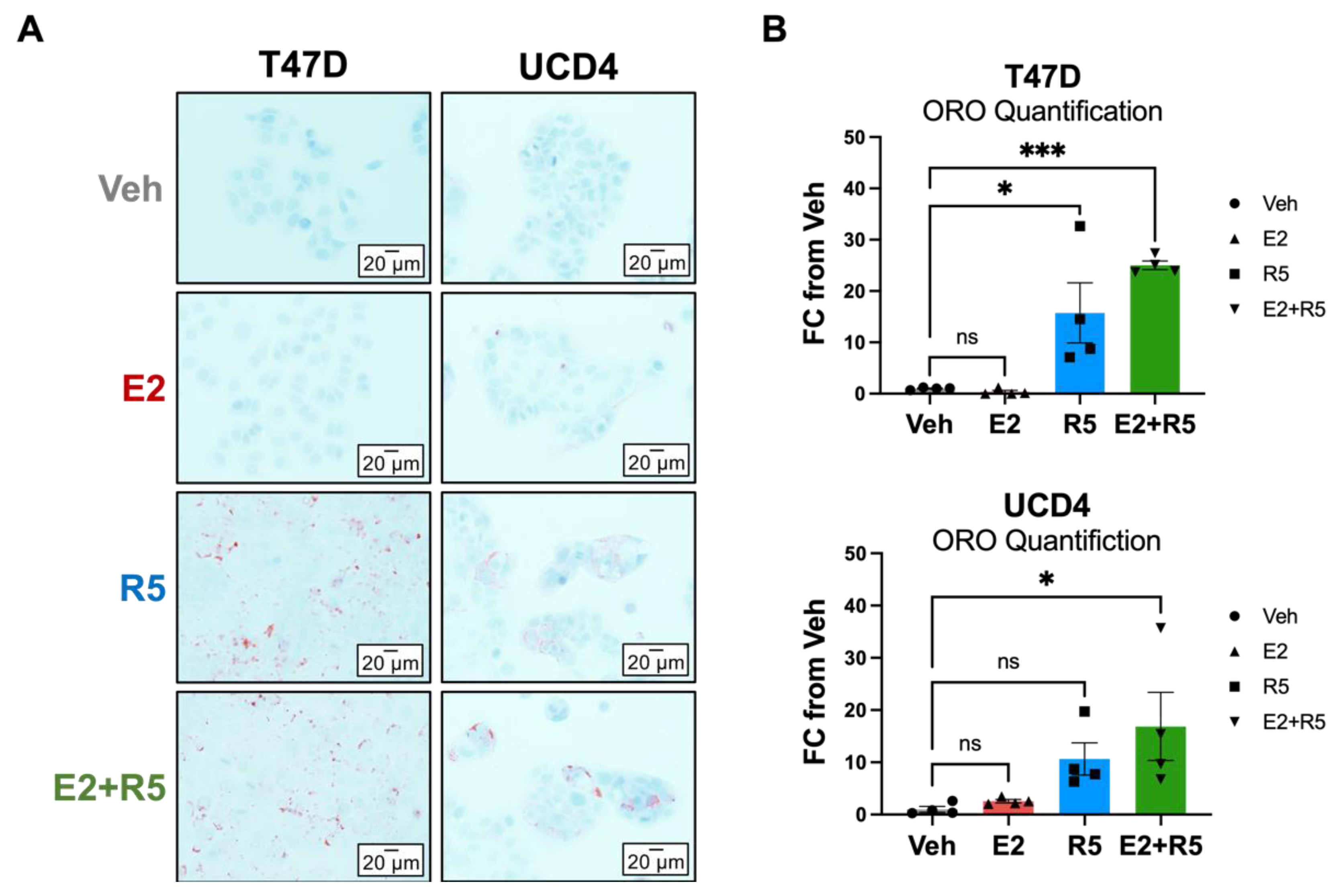 Cancers 14 01776 g006 Cancers 14 01776 g006