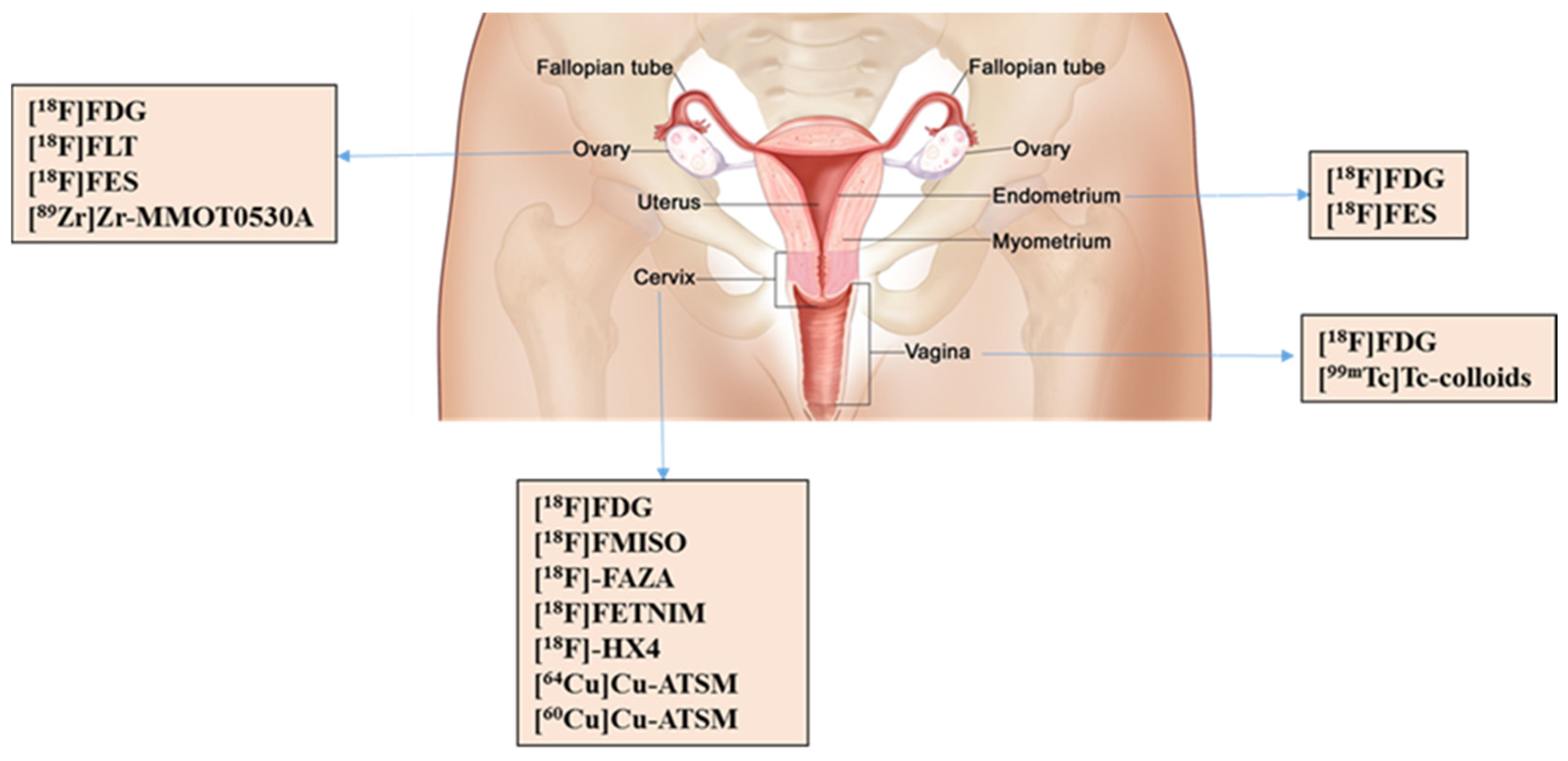 Cancers 14 01779 g001