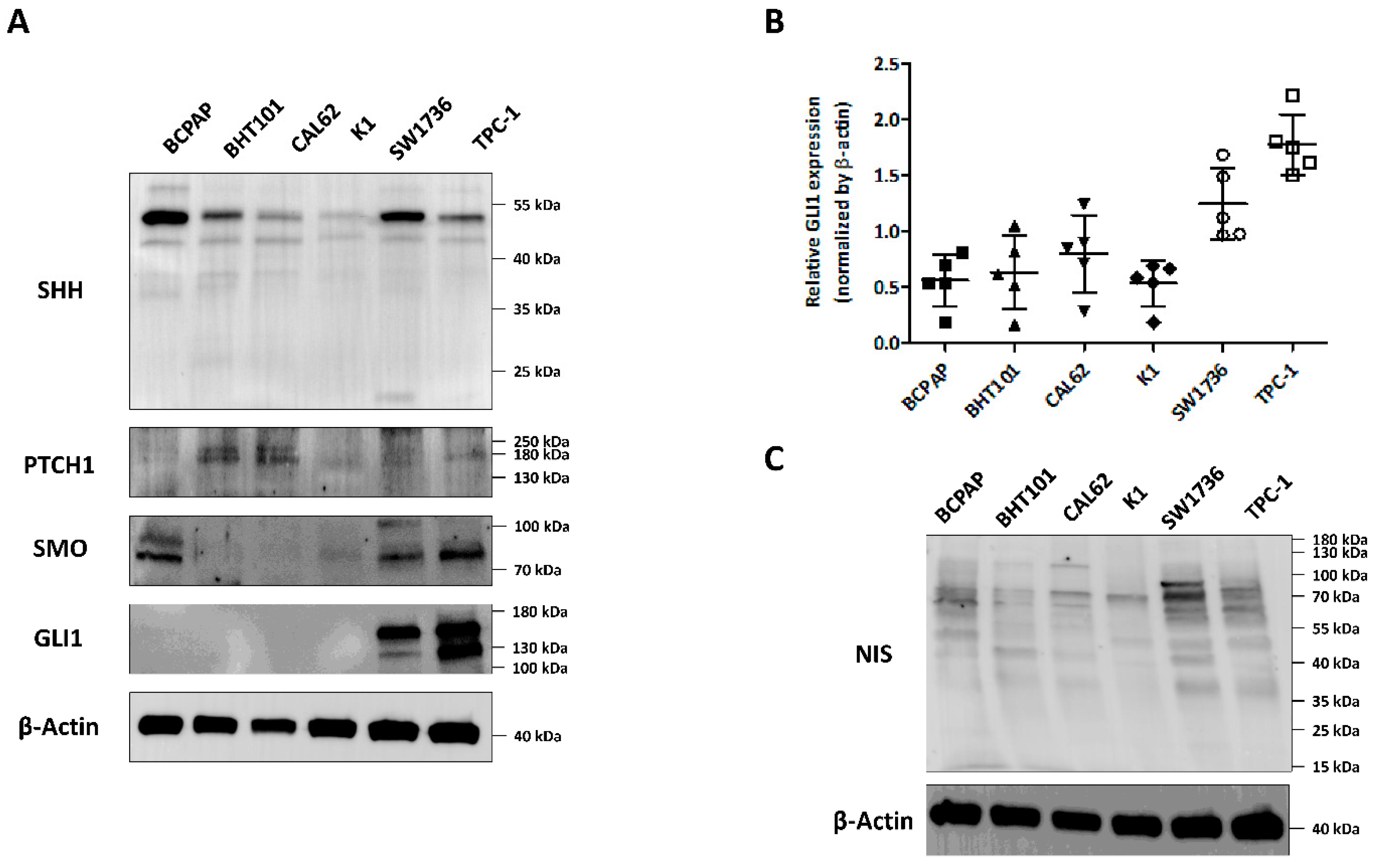 Cancers 14 01782 g001