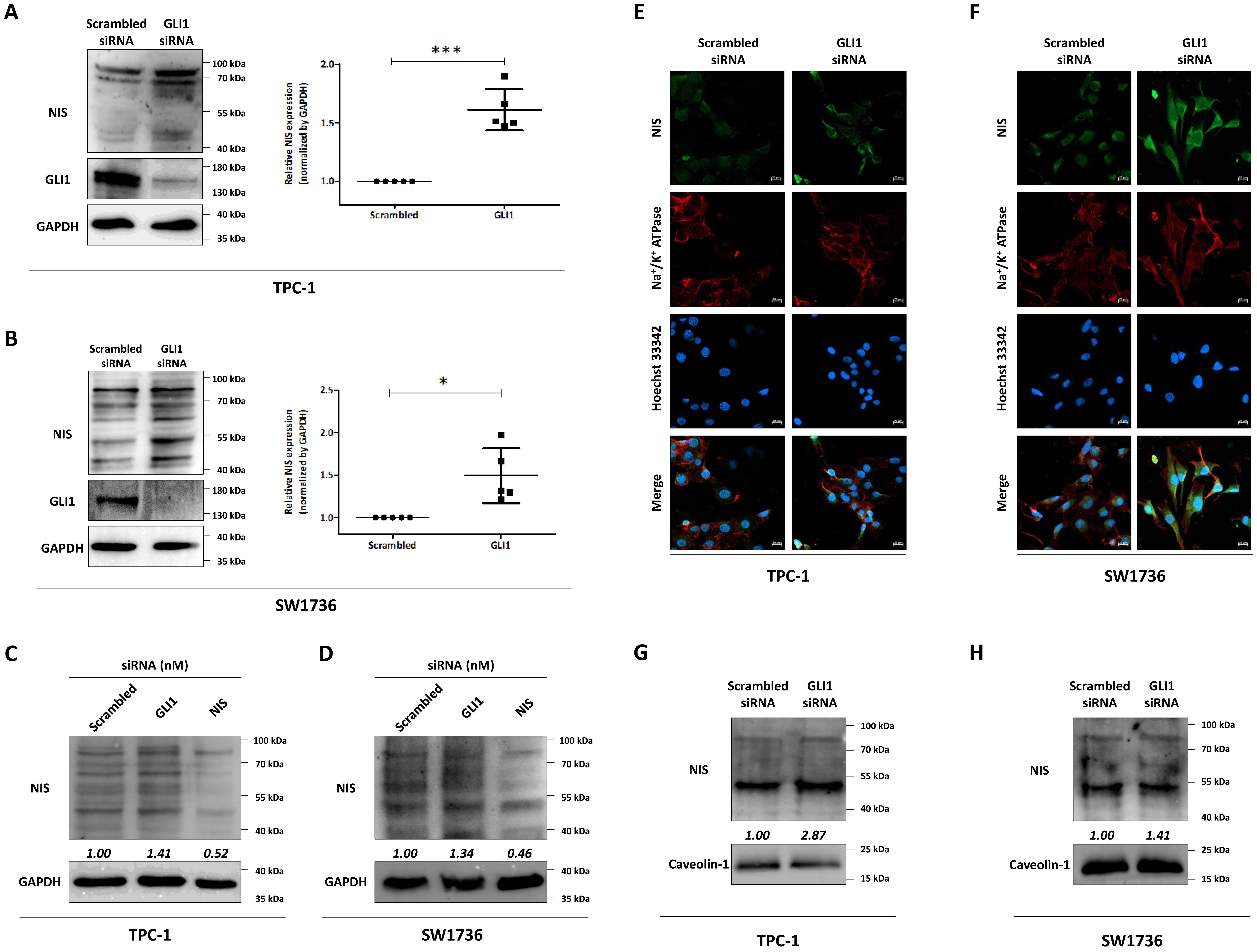 Cancers 14 01782 g002