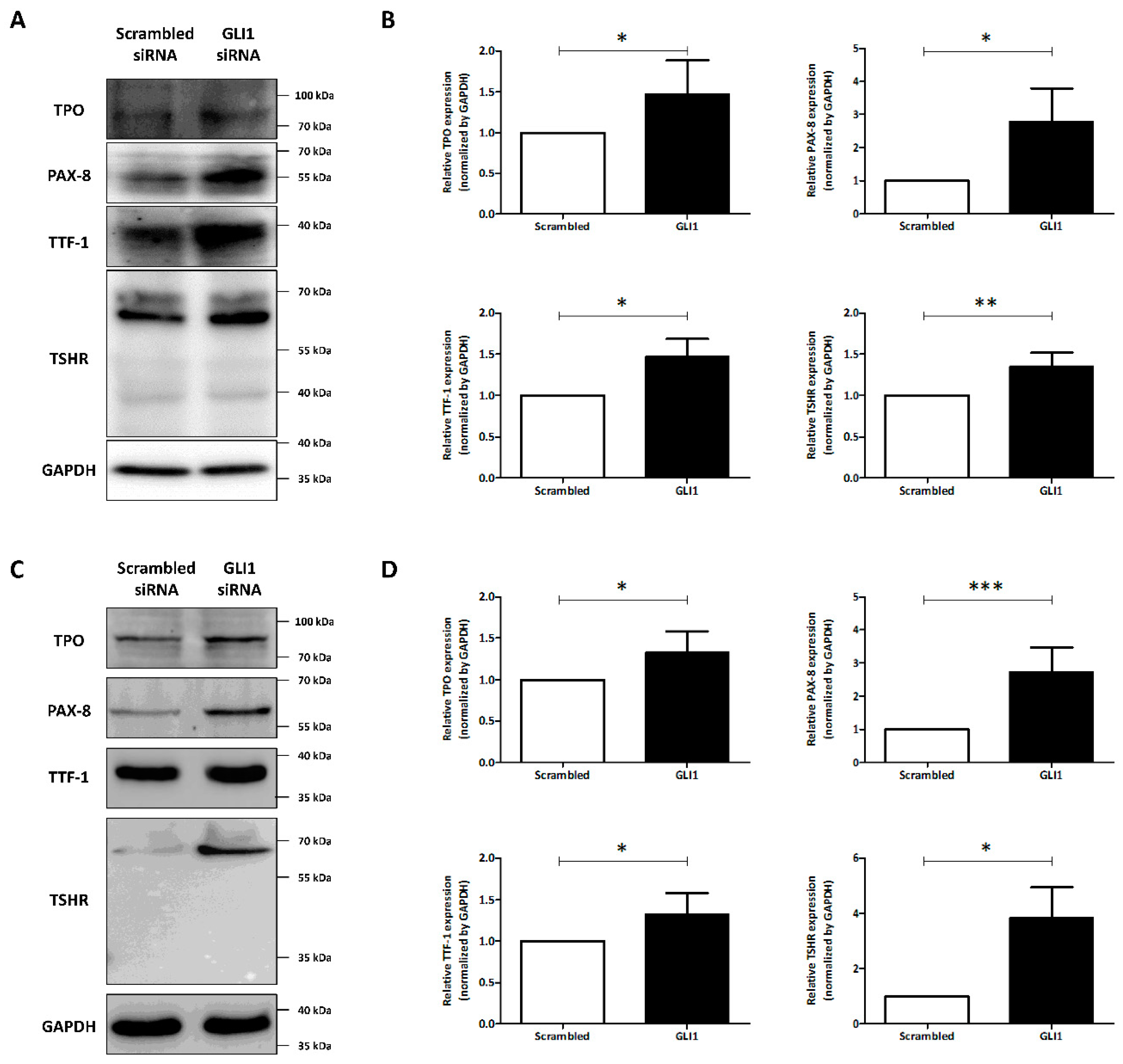 Cancers 14 01782 g003