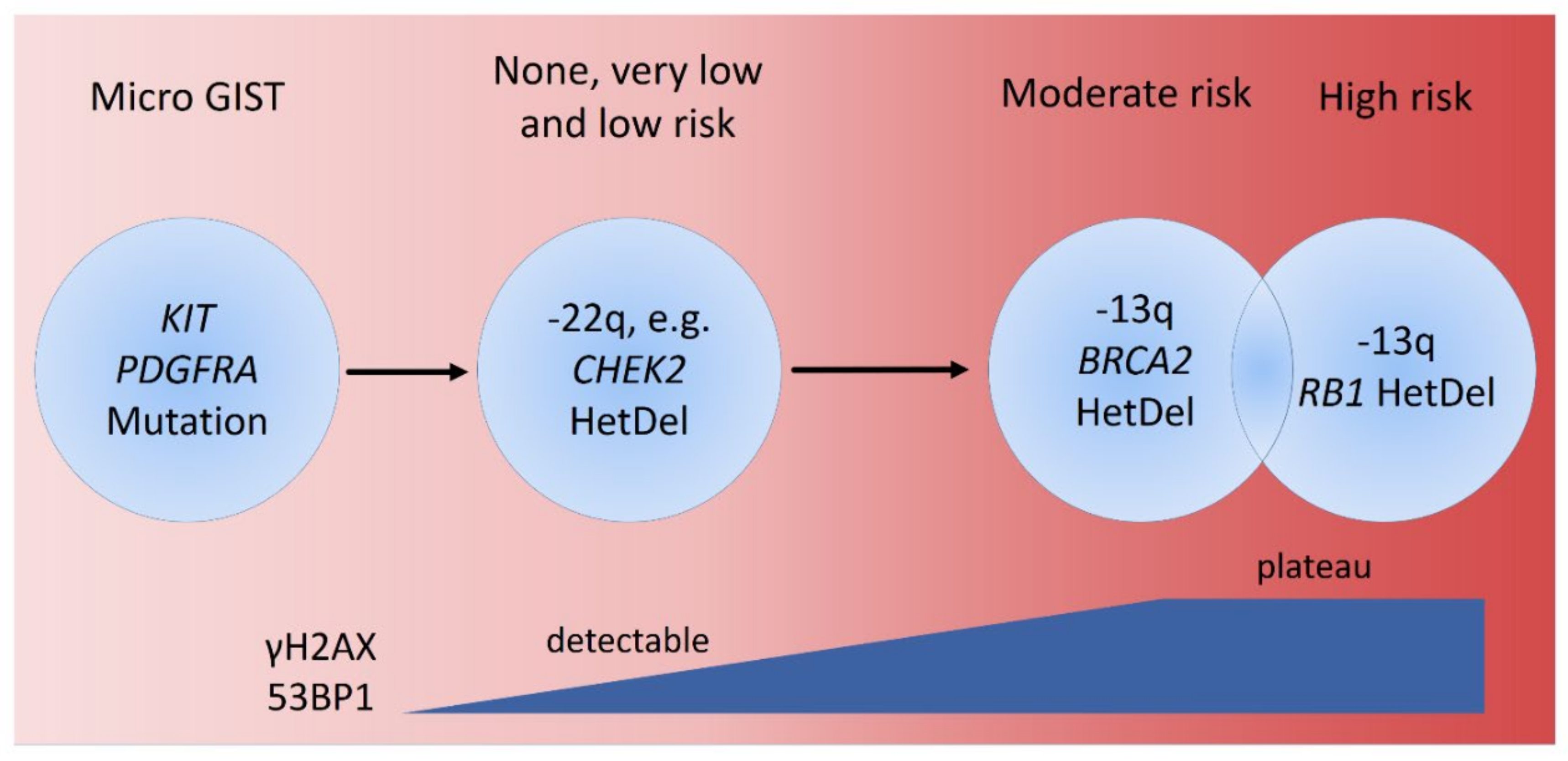 Cancers 14 01787 g007 Cancers 14 01787 g007