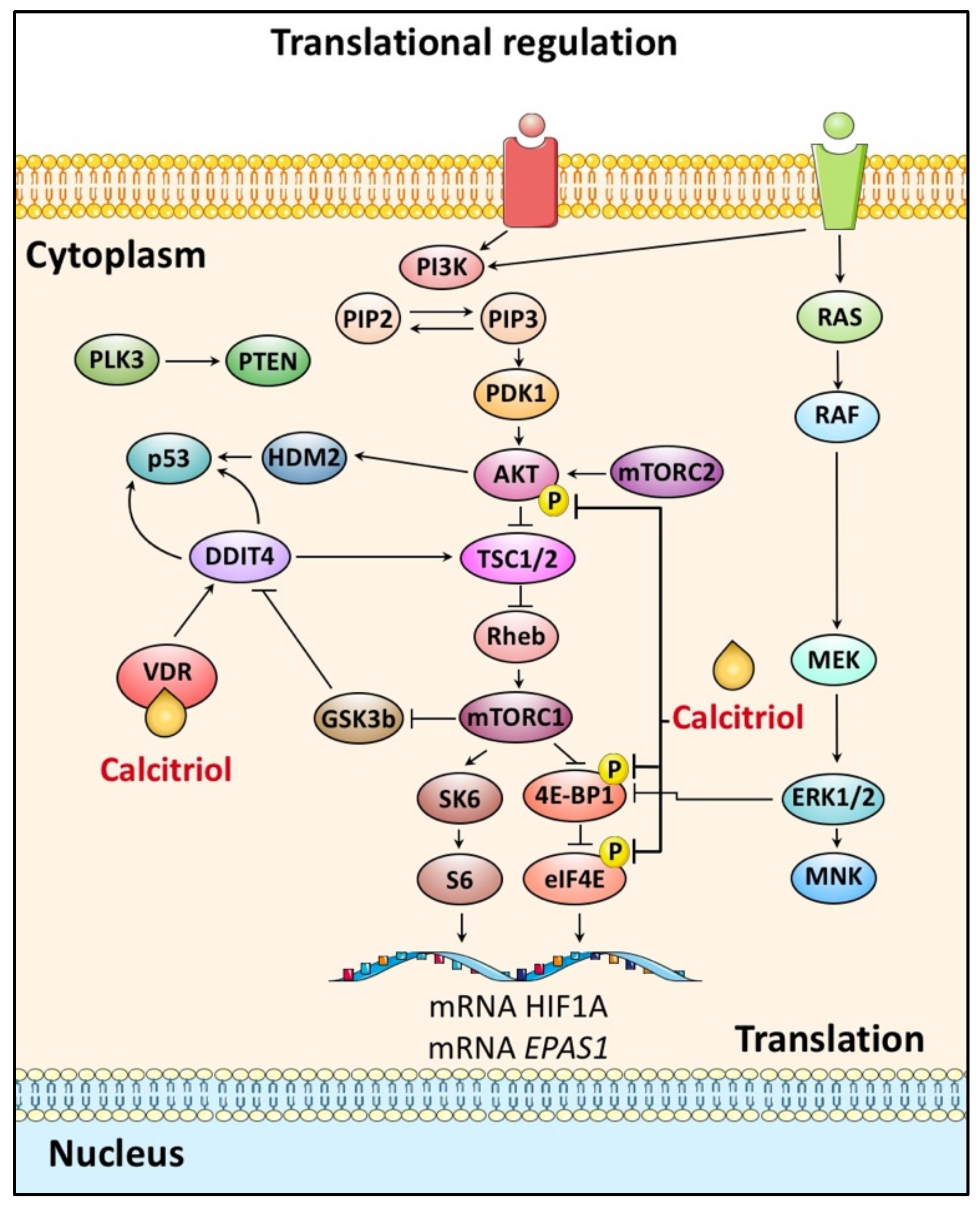 Cancers 14 01791 g003
