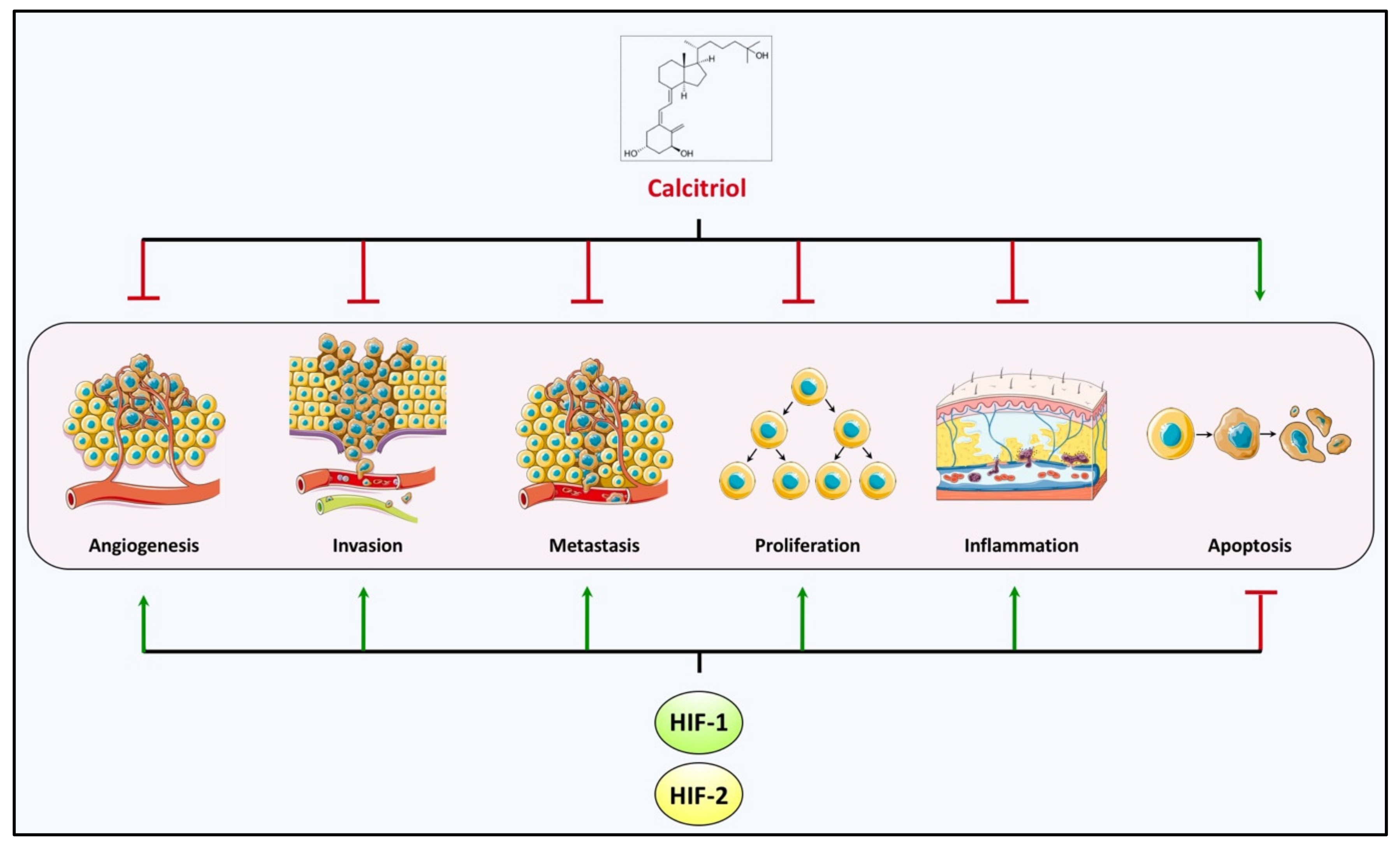 Cancers 14 01791 g005