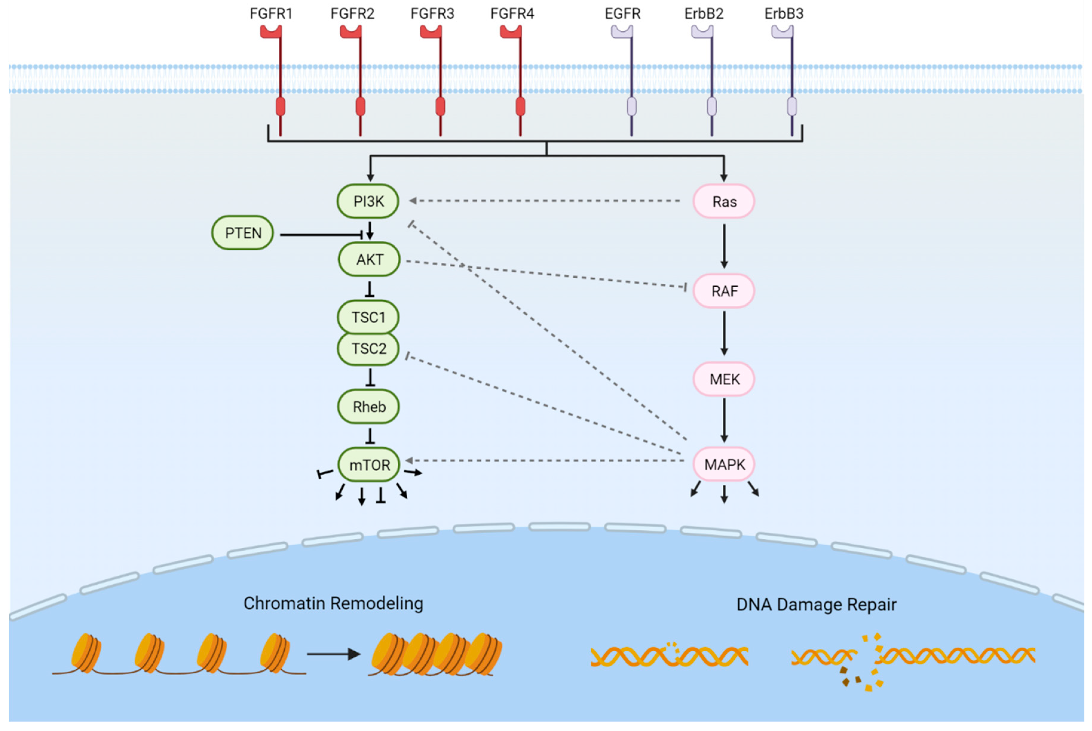 Cancers 14 01795 g001