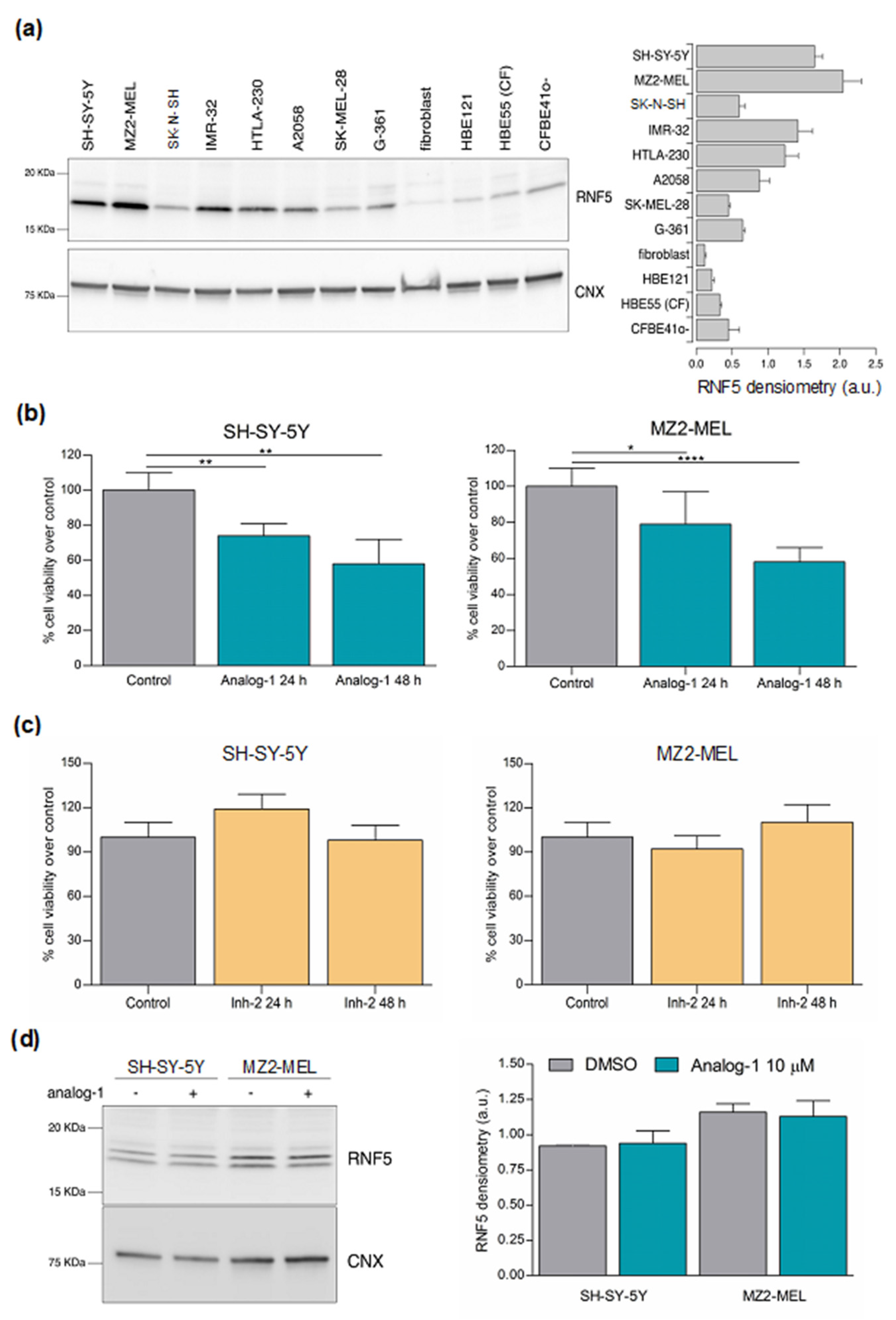 Cancers 14 01802 g002