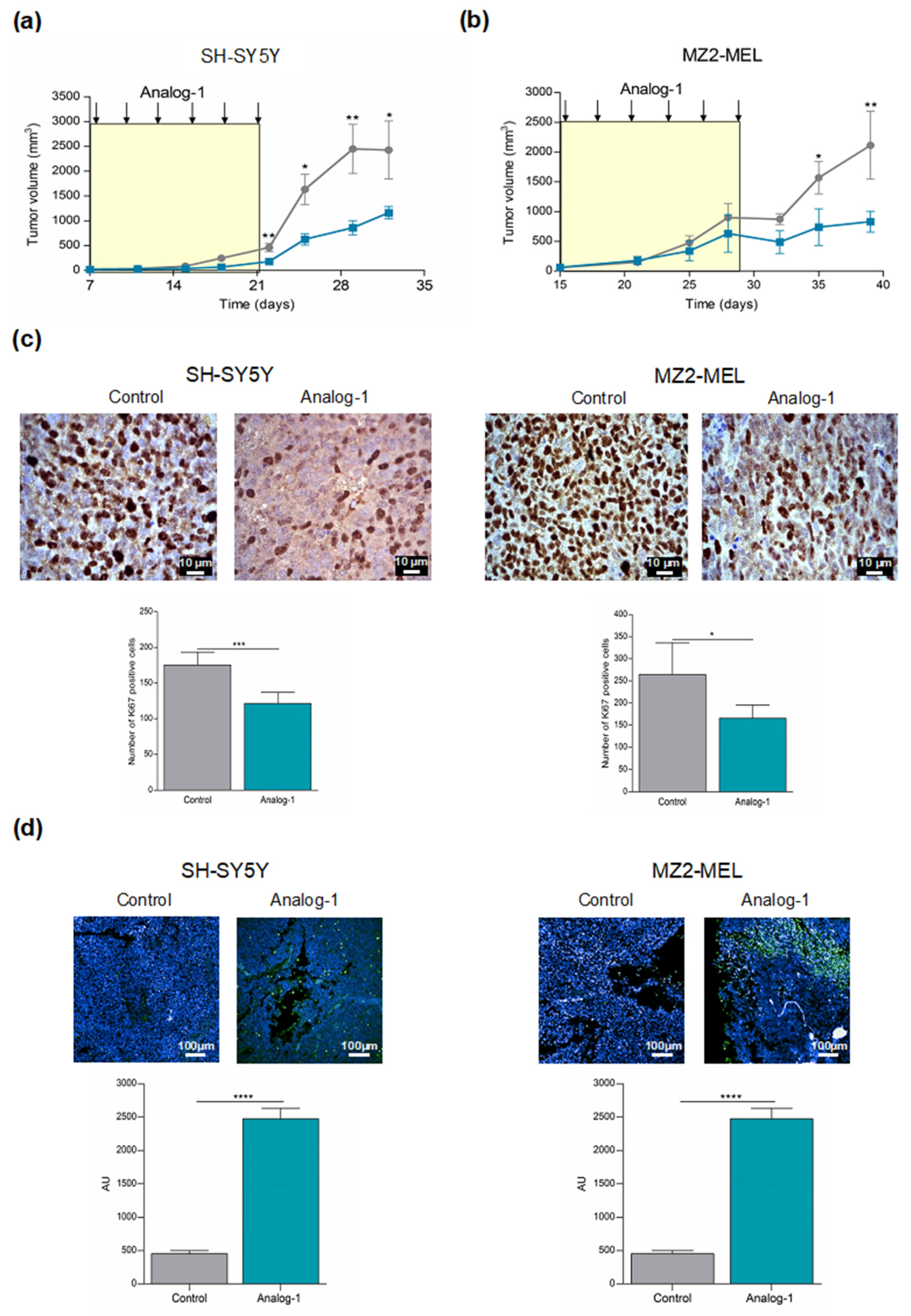 Cancers 14 01802 g006