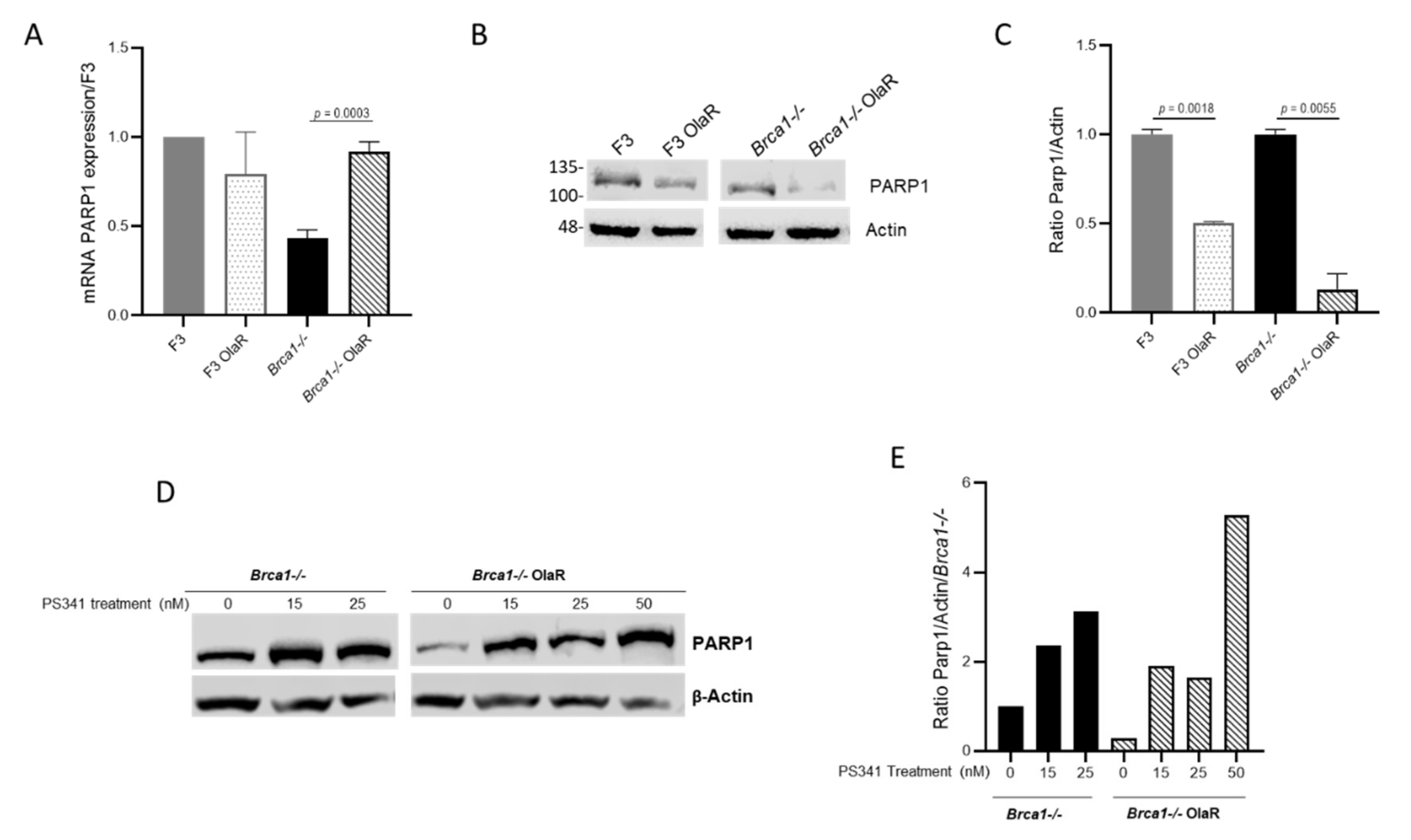Cancers 14 01807 g003 550