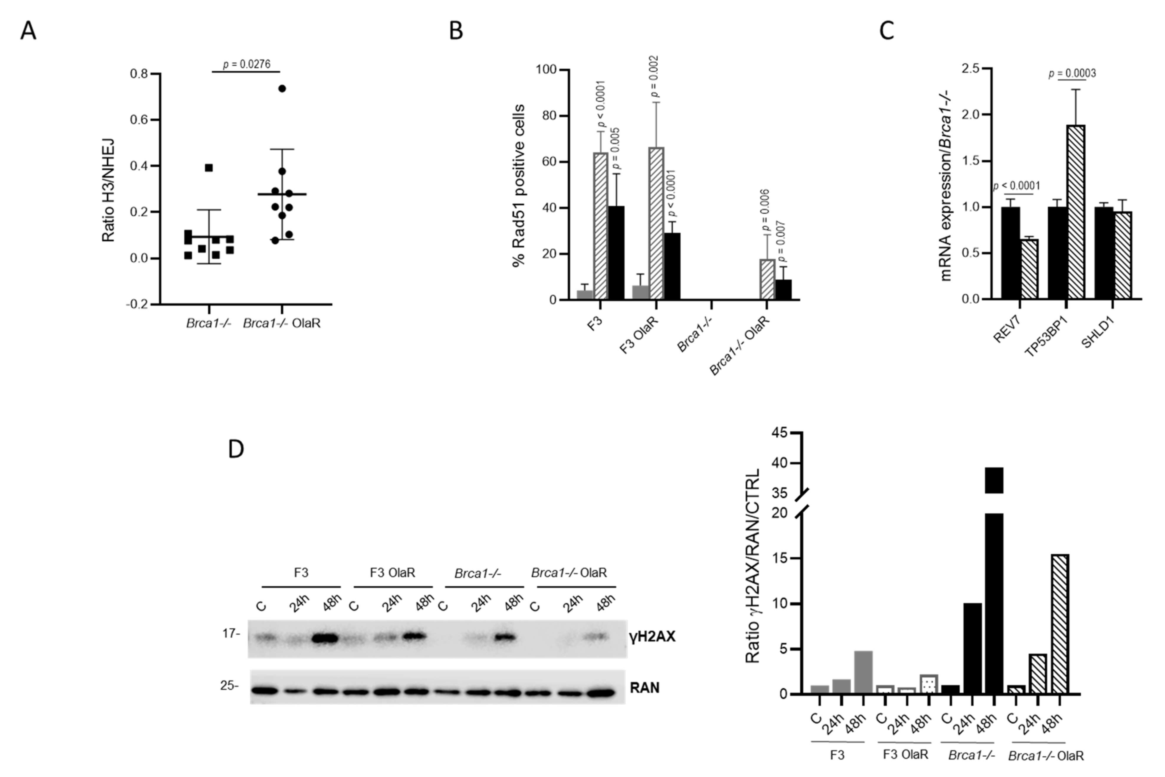 Cancers 14 01807 g004 550