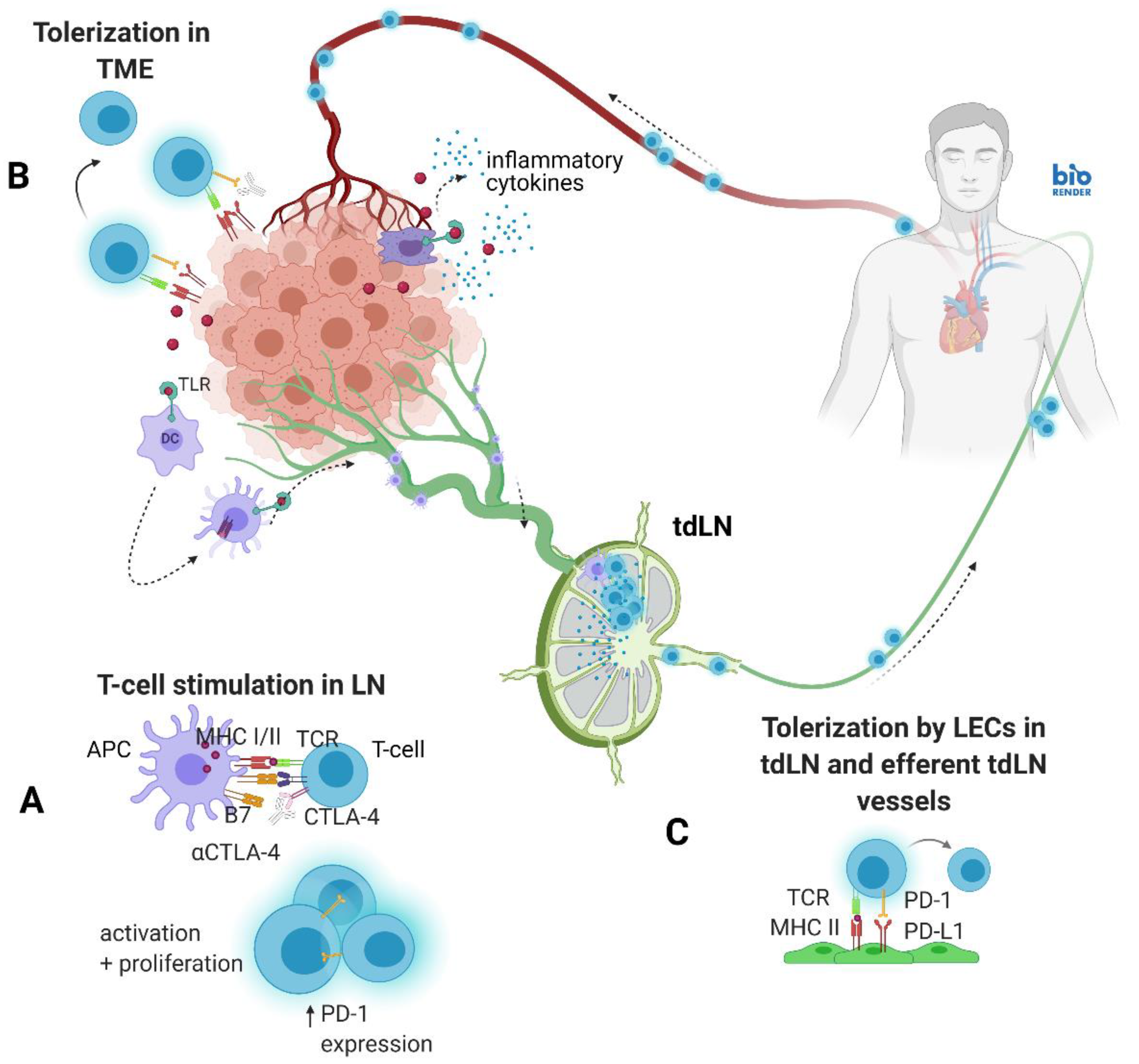 Cancers 14 01823 g001