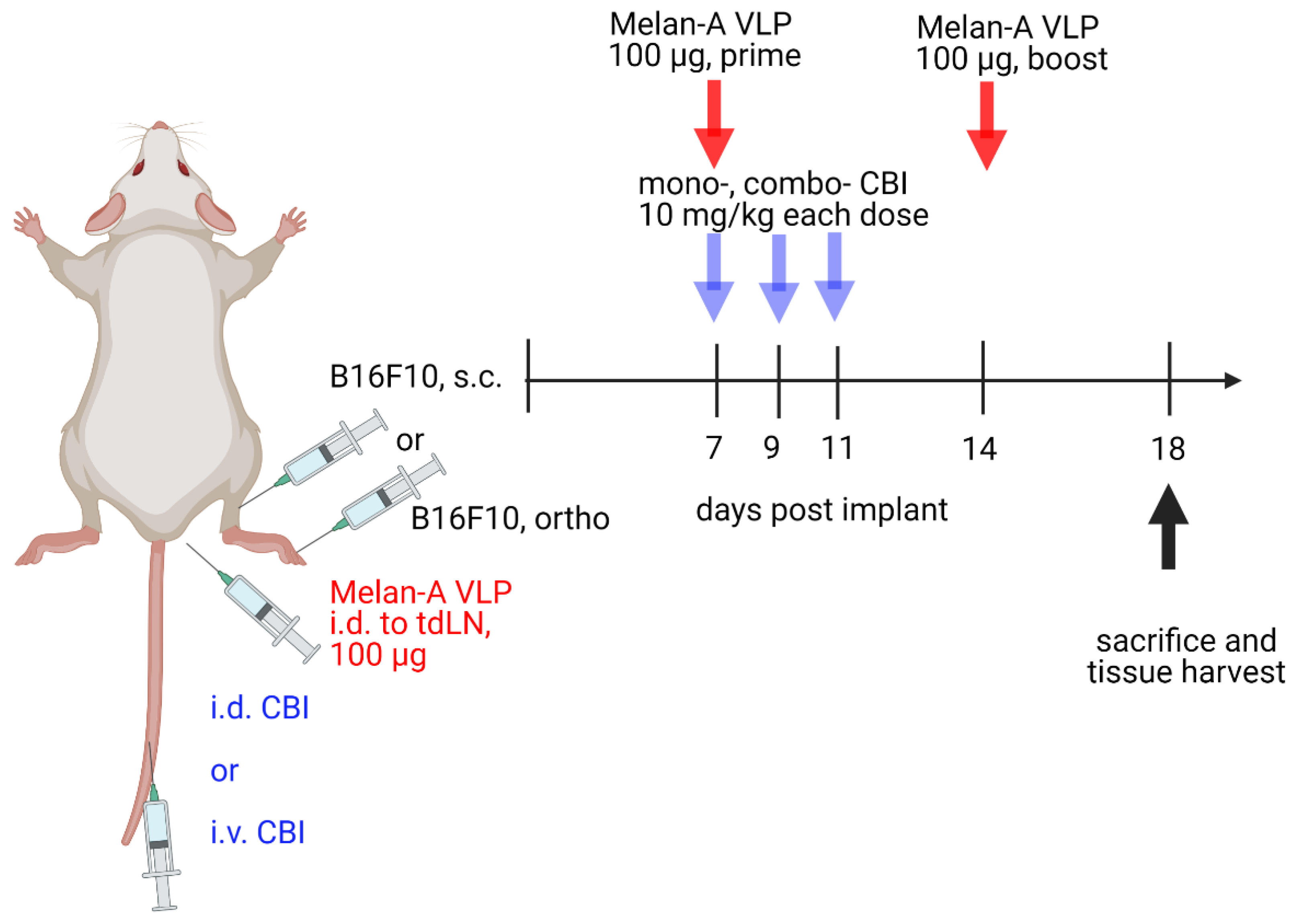 Cancers 14 01823 g002