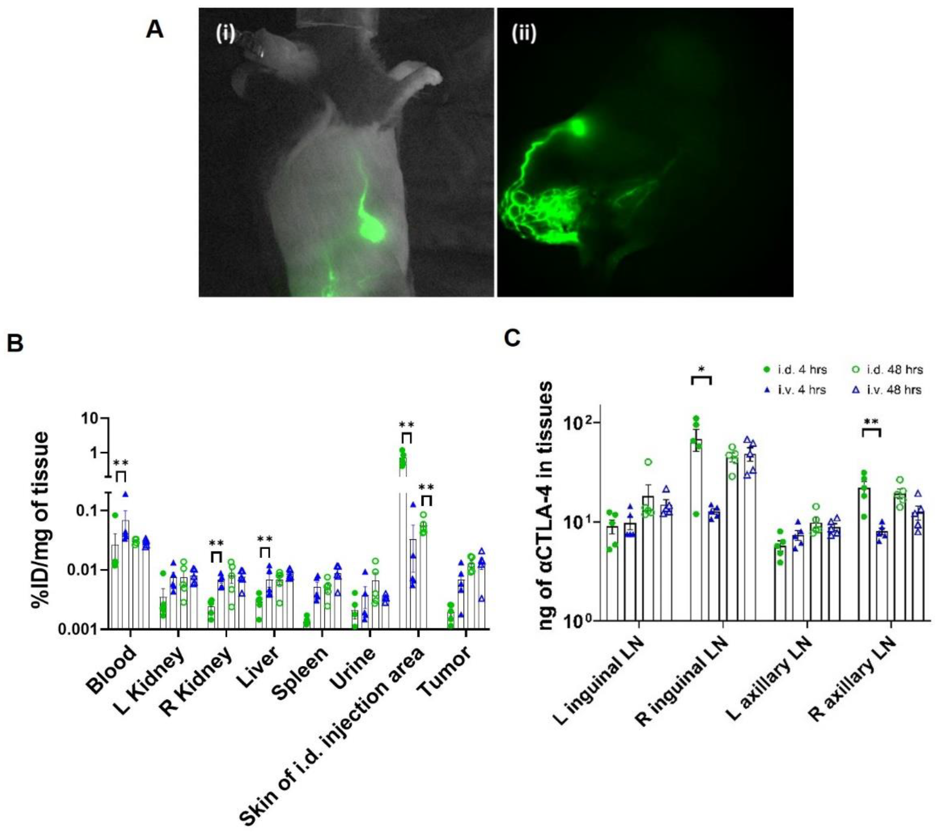 Cancers 14 01823 g003