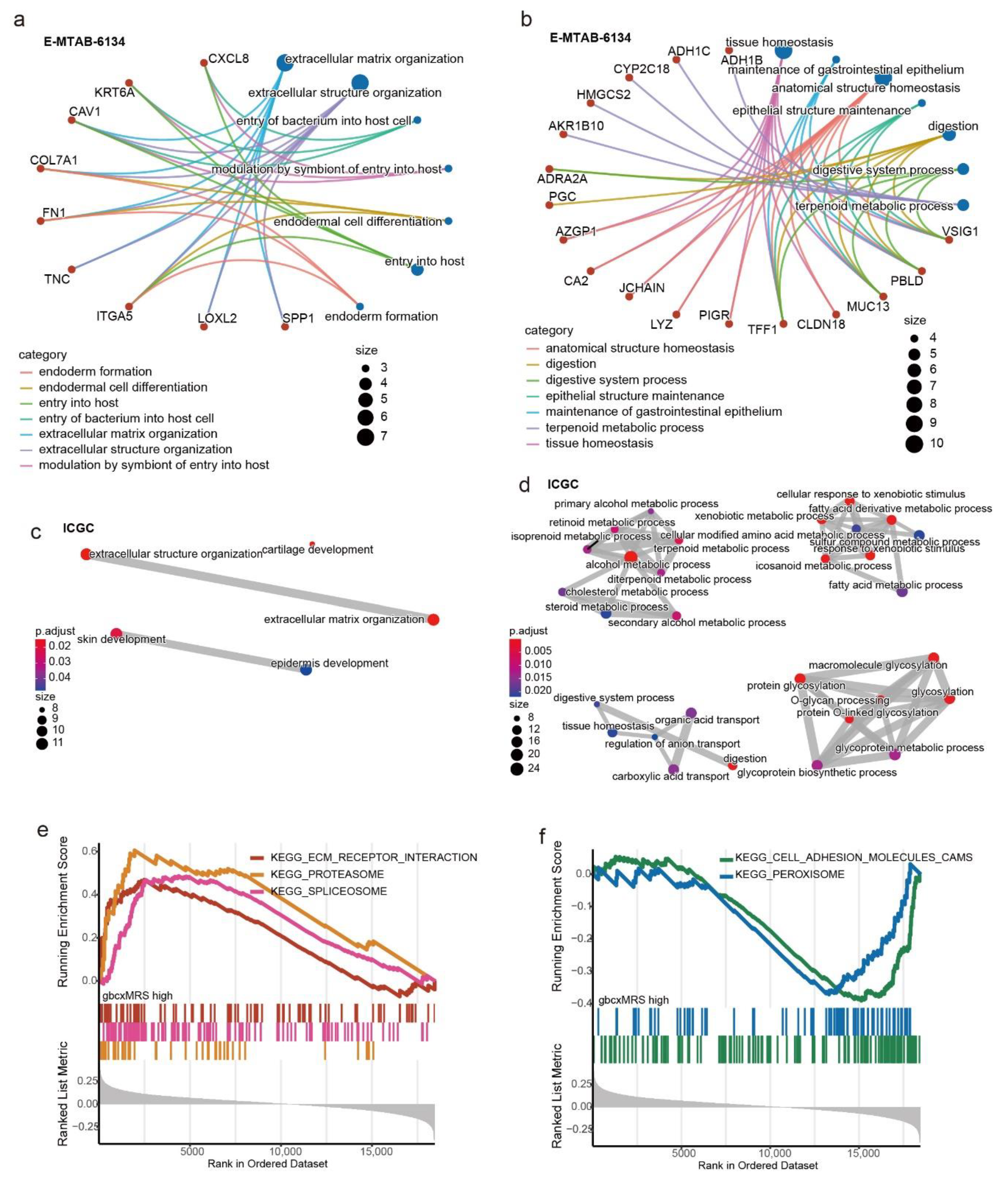 Cancers 14 01825 g006 Cancers 14 01825 g006