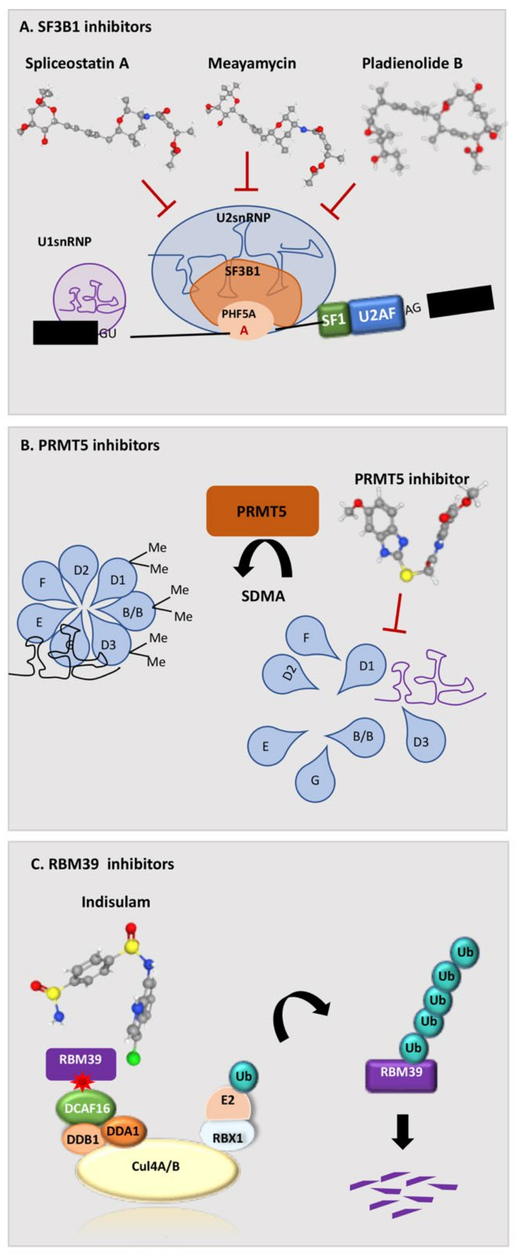 Cancers 14 01827 g003 Cancers 14 01827 g003